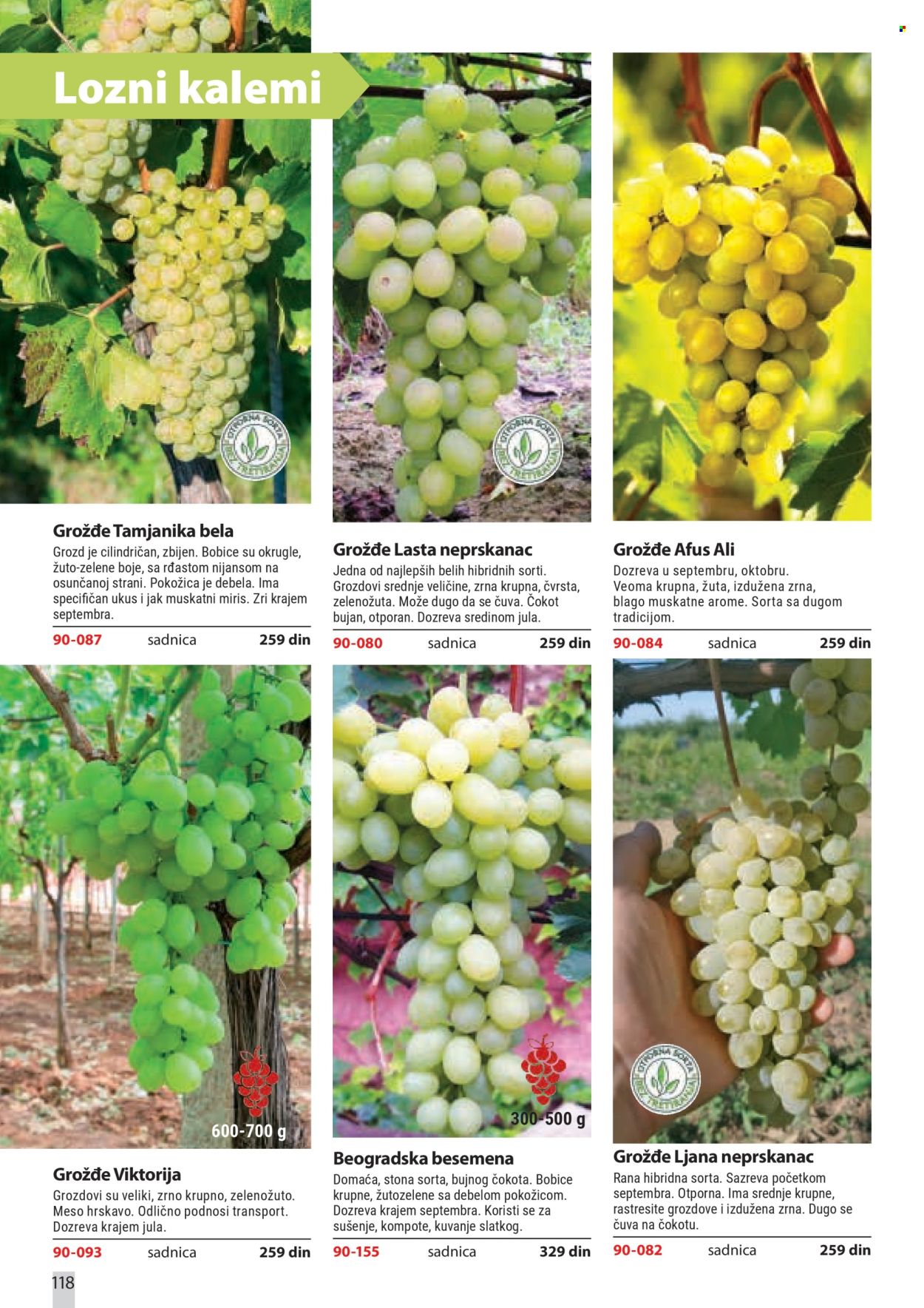 Flora Ekspres katalog . Stranica 118