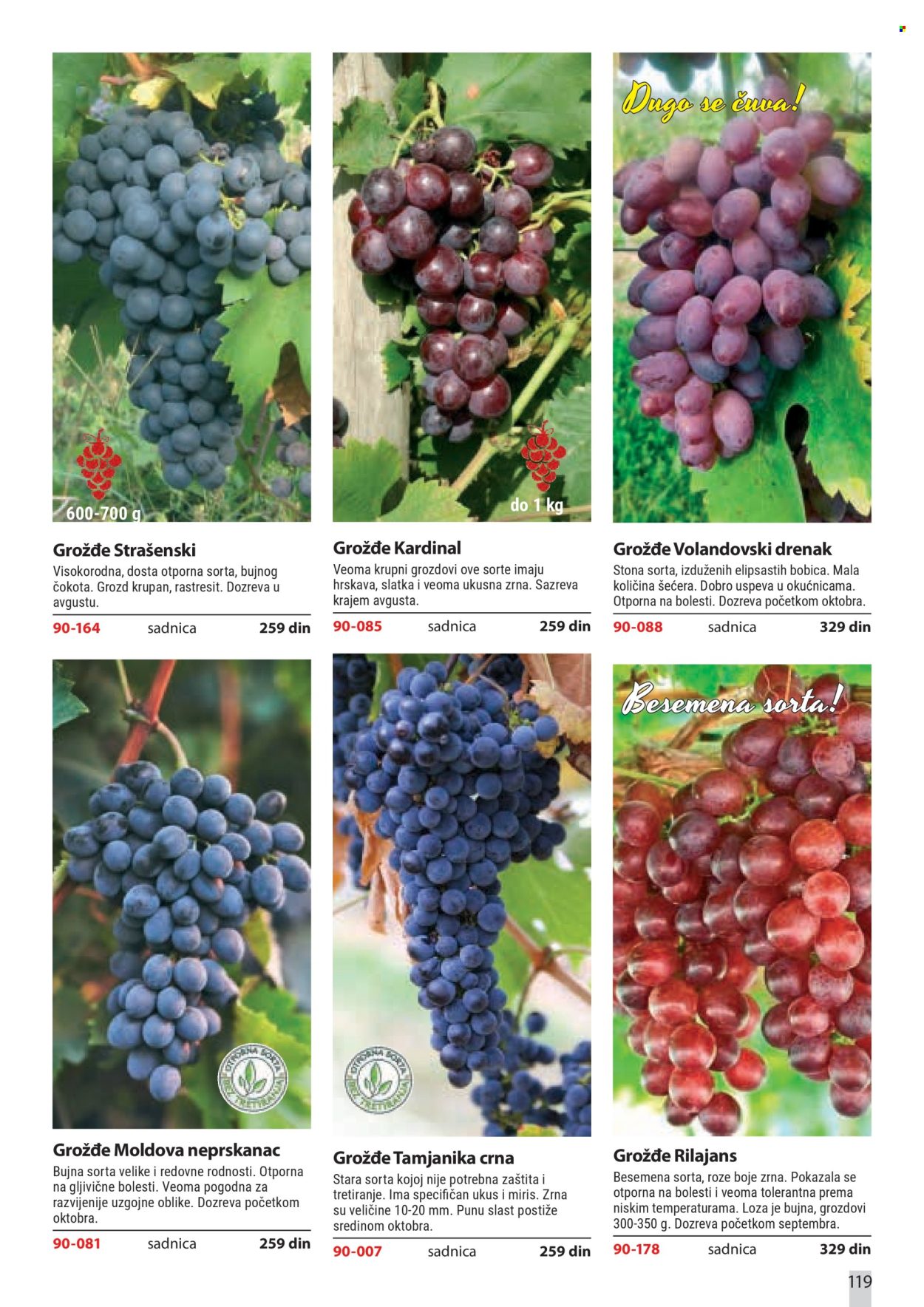 Flora Ekspres katalog . Stranica 119