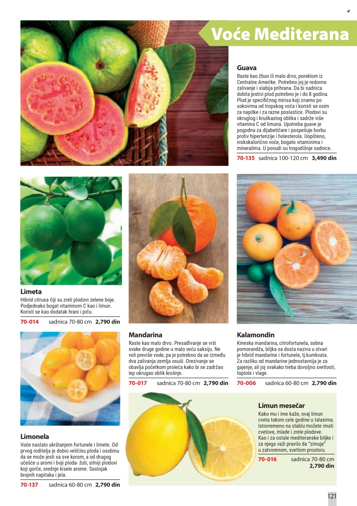 Flora Ekspres katalog . Stranica 121