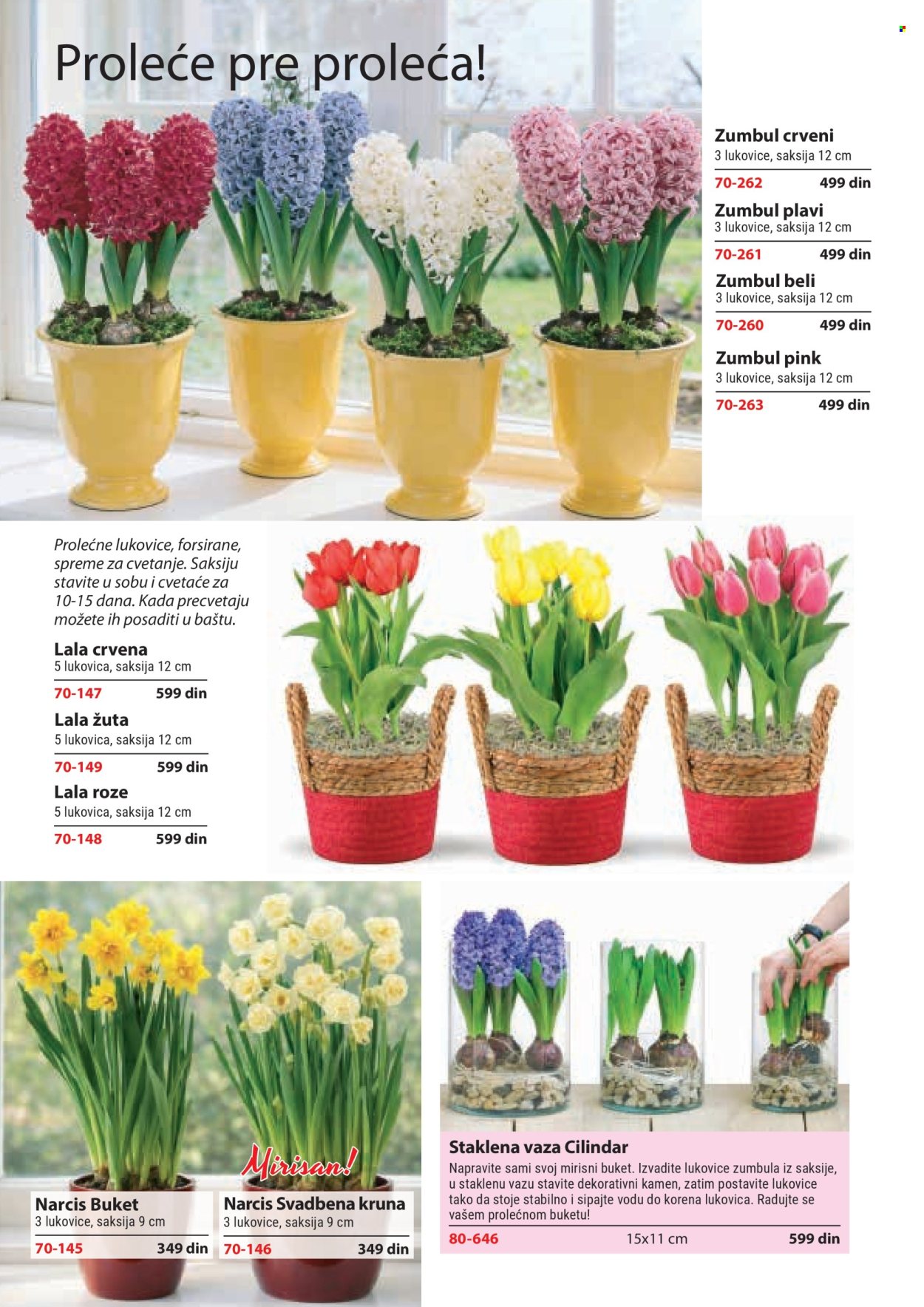 Flora Ekspres katalog . Stranica 124