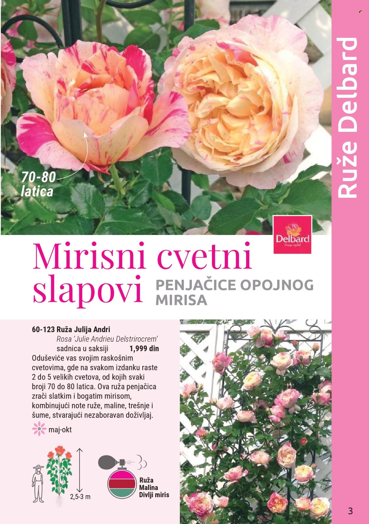 Flora Ekspres katalog . Stranica 3