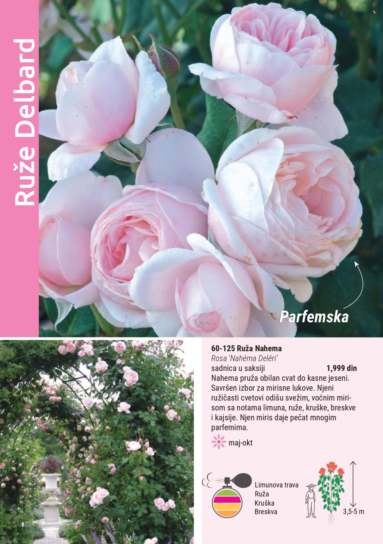 Flora Ekspres katalog . Stranica 4