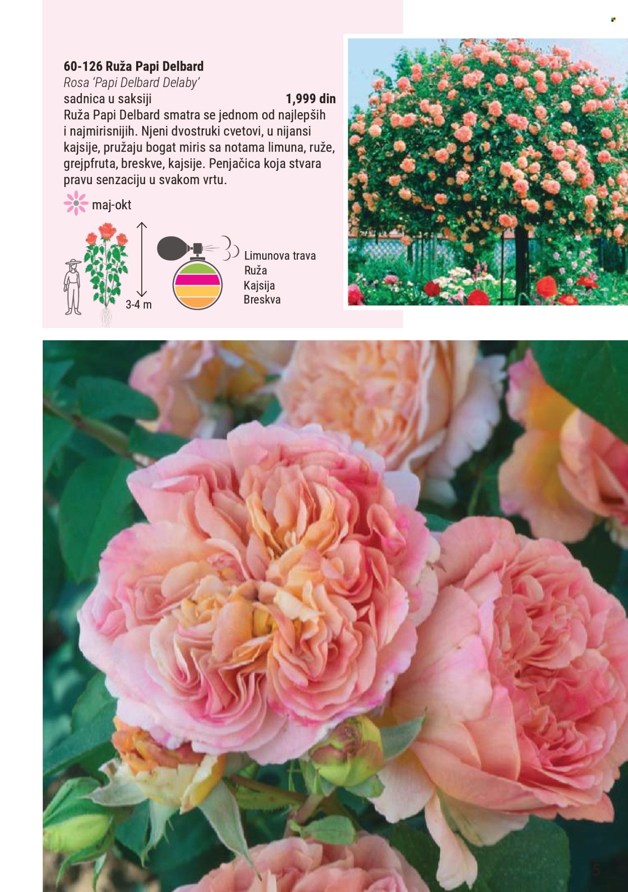 Flora Ekspres katalog . Stranica 5