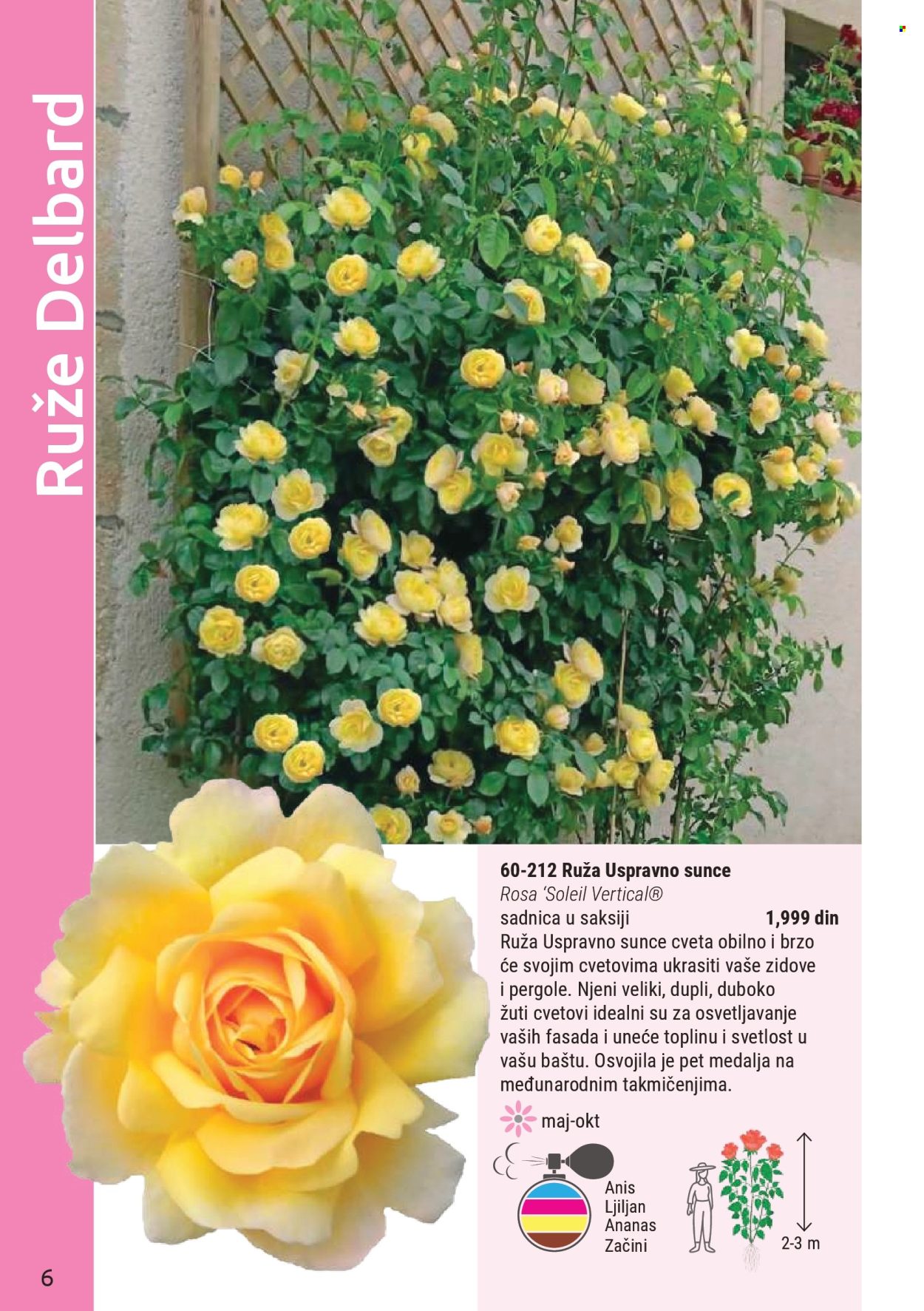 Flora Ekspres katalog . Stranica 6