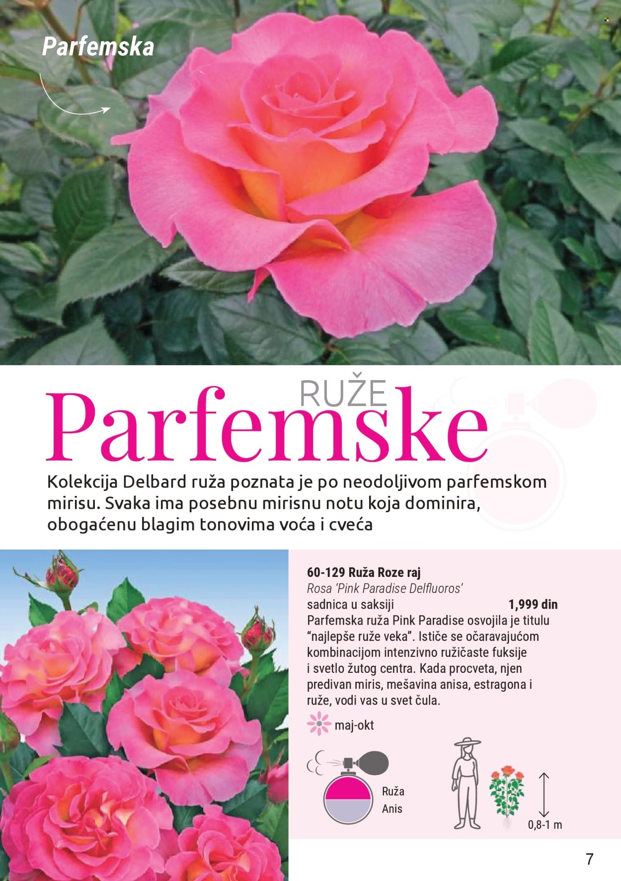 Flora Ekspres katalog . Stranica 7