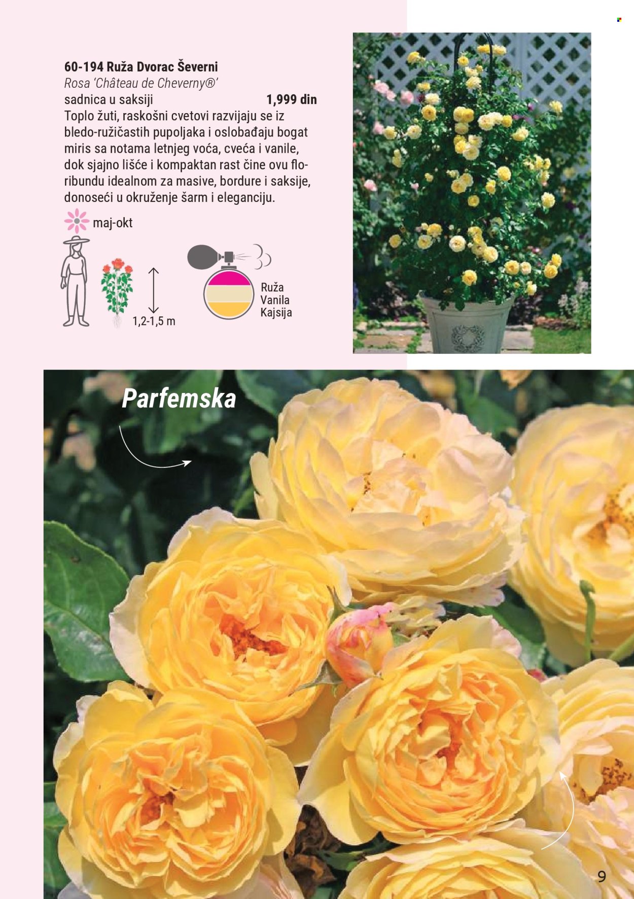 Flora Ekspres katalog . Stranica 9