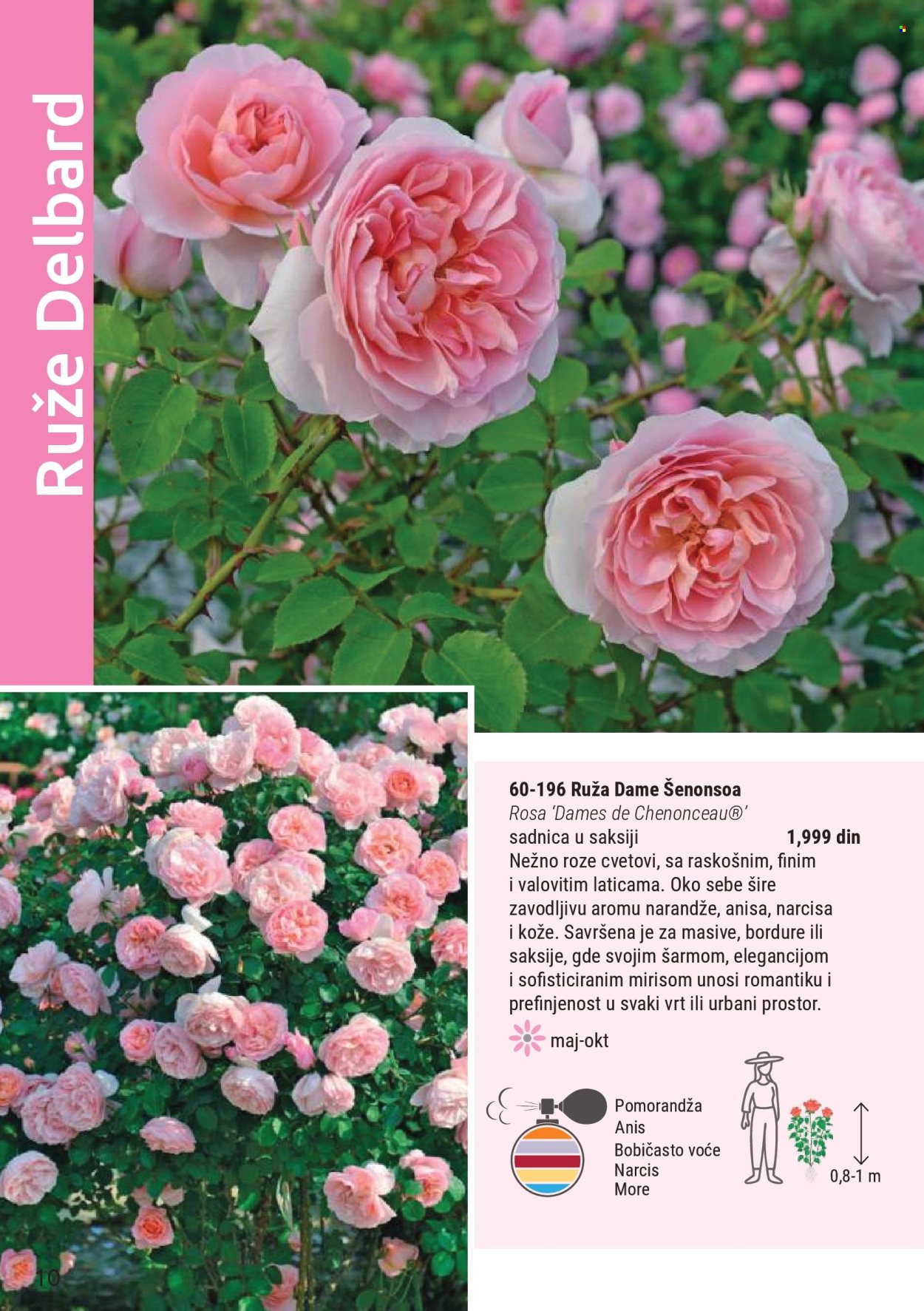 Flora Ekspres katalog . Stranica 10