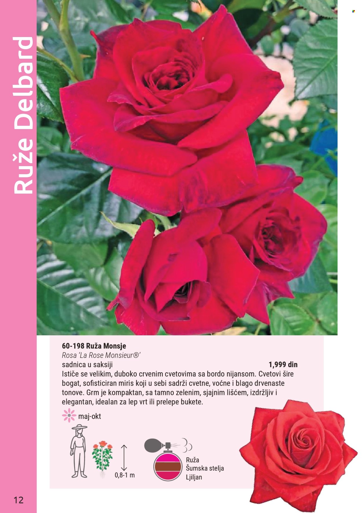 Flora Ekspres katalog . Stranica 12