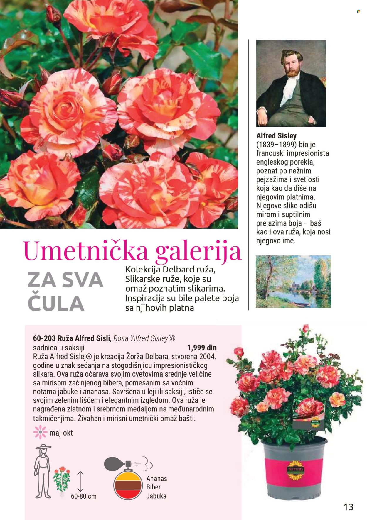 Flora Ekspres katalog . Stranica 13