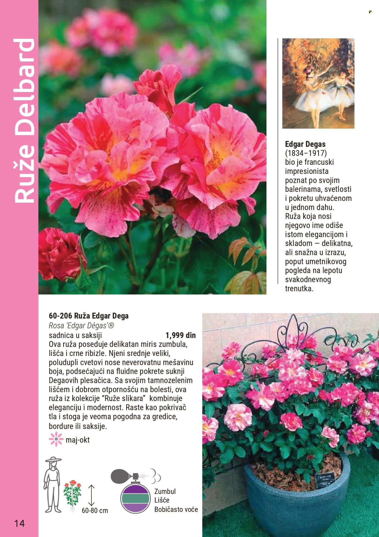 Flora Ekspres katalog . Stranica 14