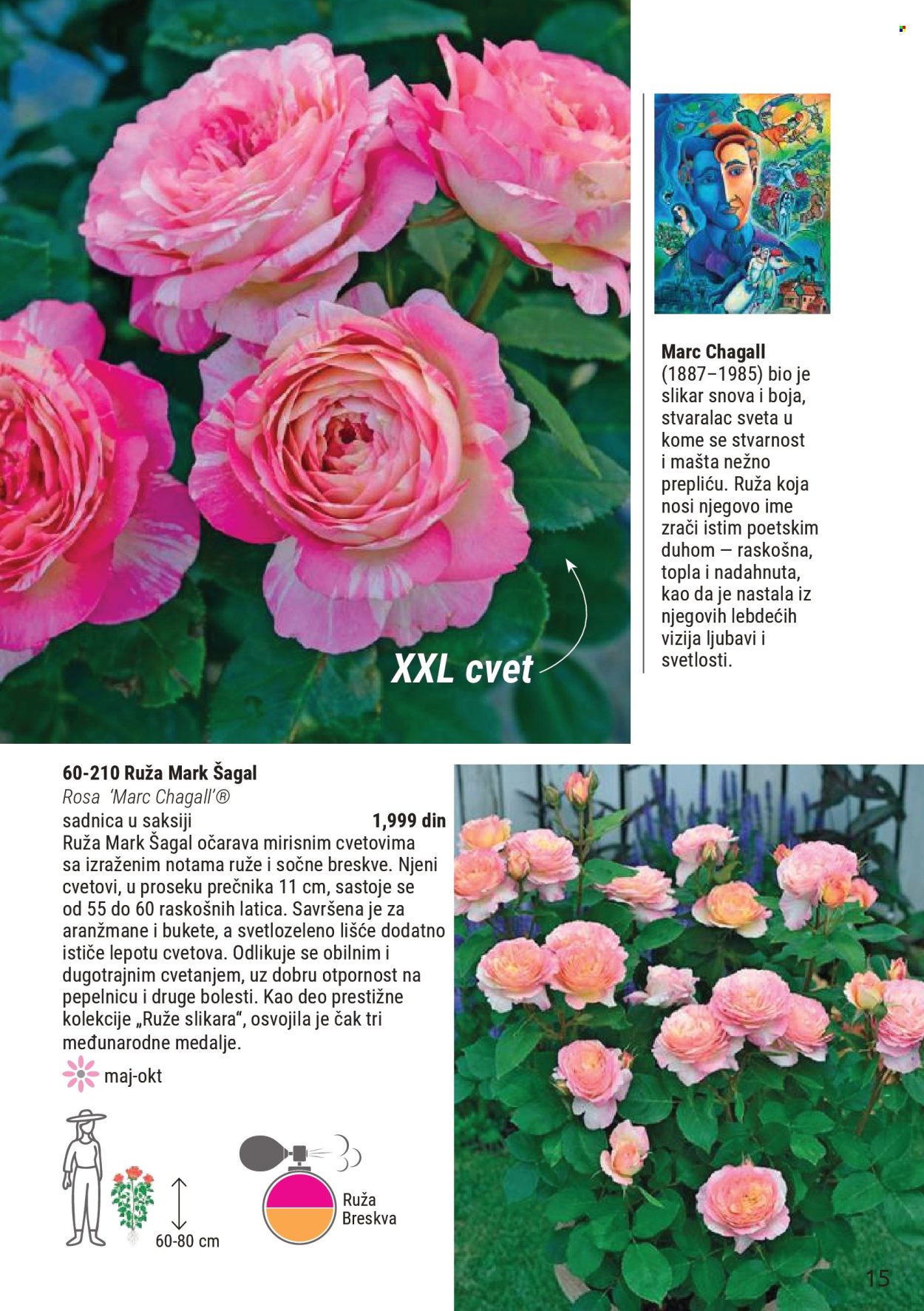 Flora Ekspres katalog . Stranica 15