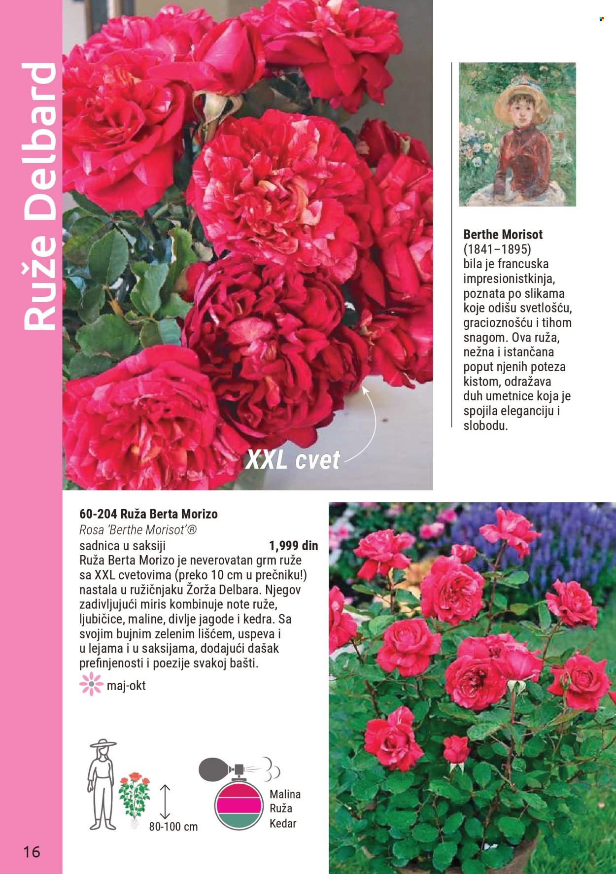 Flora Ekspres katalog . Stranica 16