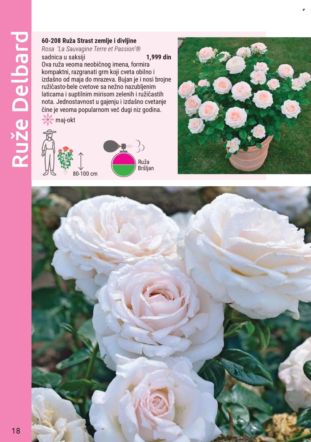 Flora Ekspres katalog . Stranica 18