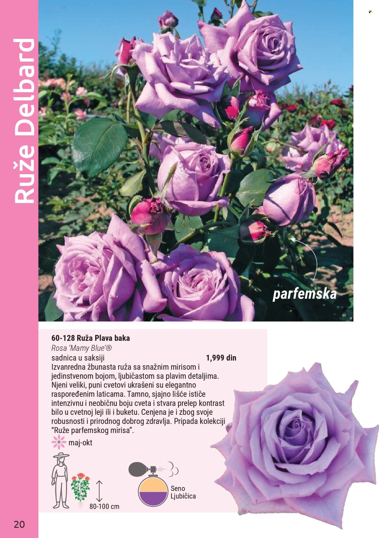 Flora Ekspres katalog . Stranica 20