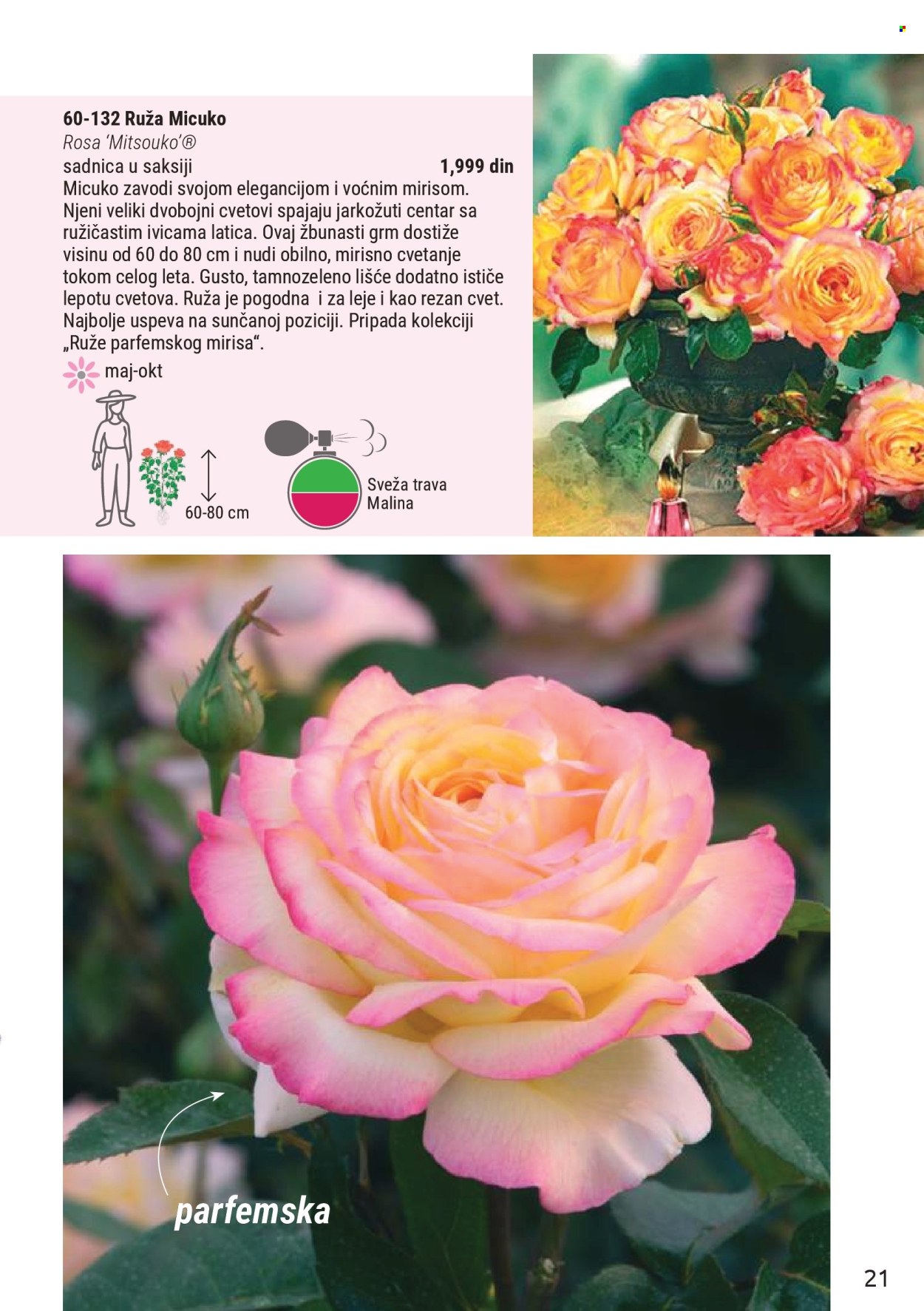 Flora Ekspres katalog . Stranica 21