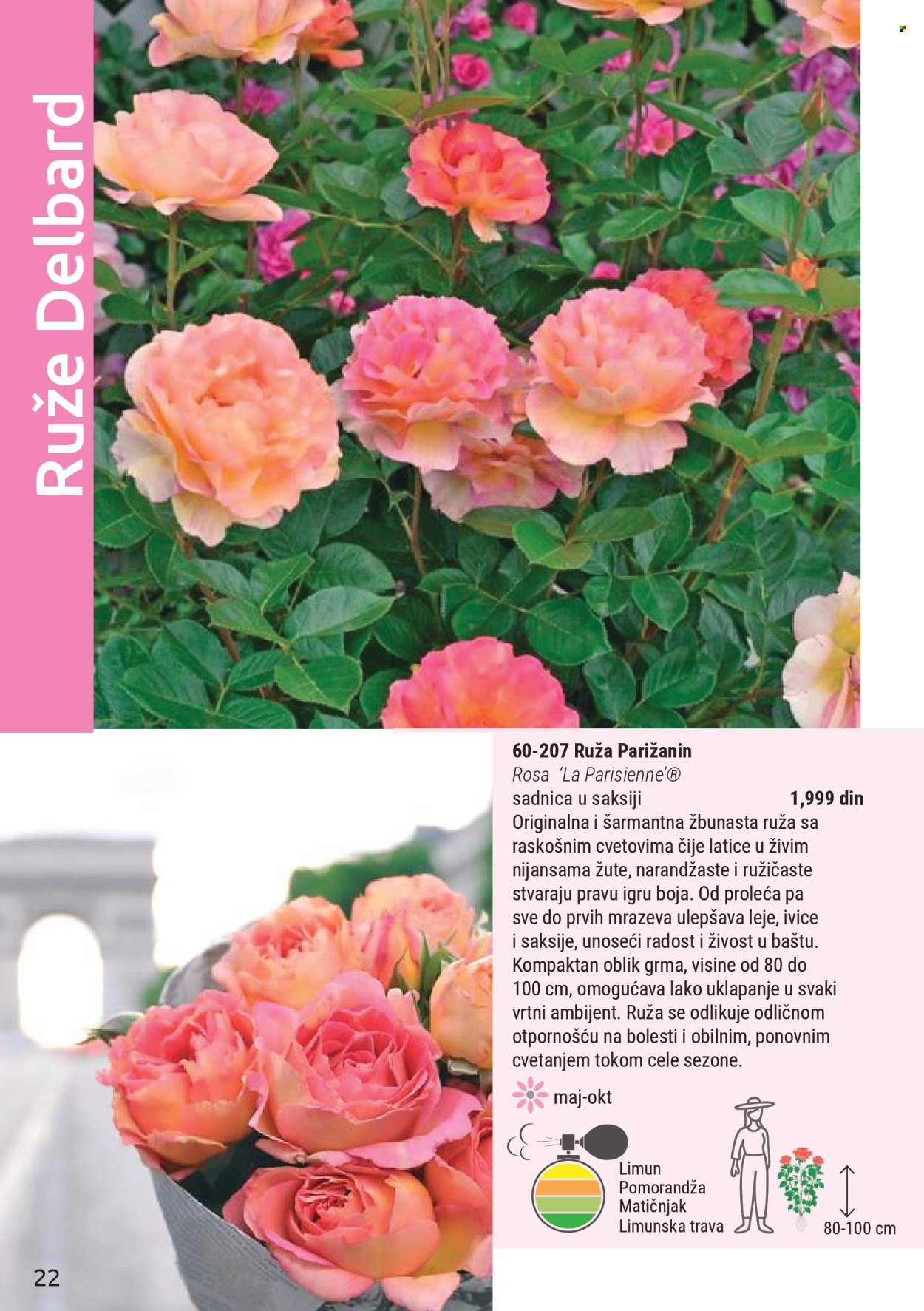 Flora Ekspres katalog . Stranica 22