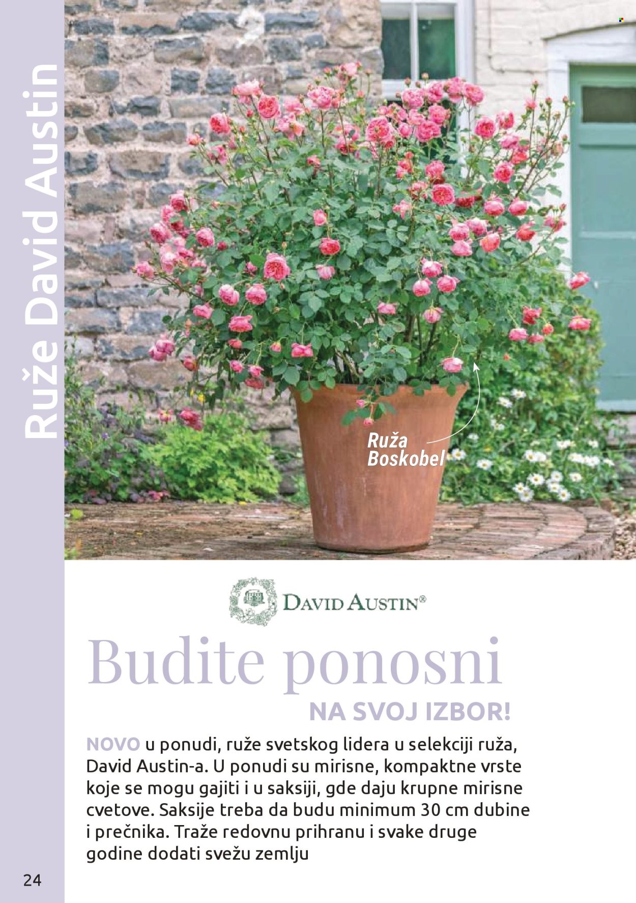 Flora Ekspres katalog . Stranica 24