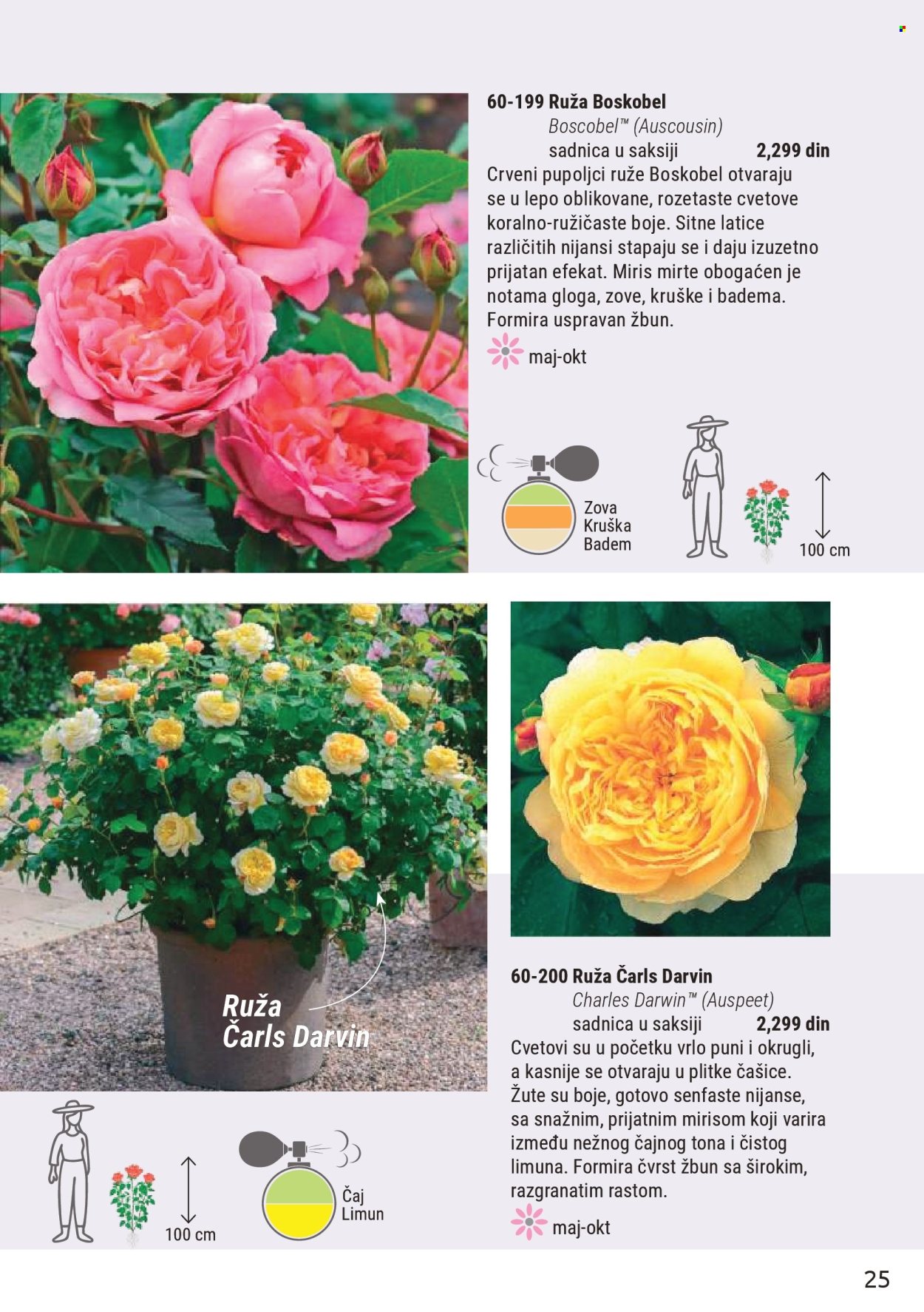Flora Ekspres katalog . Stranica 25