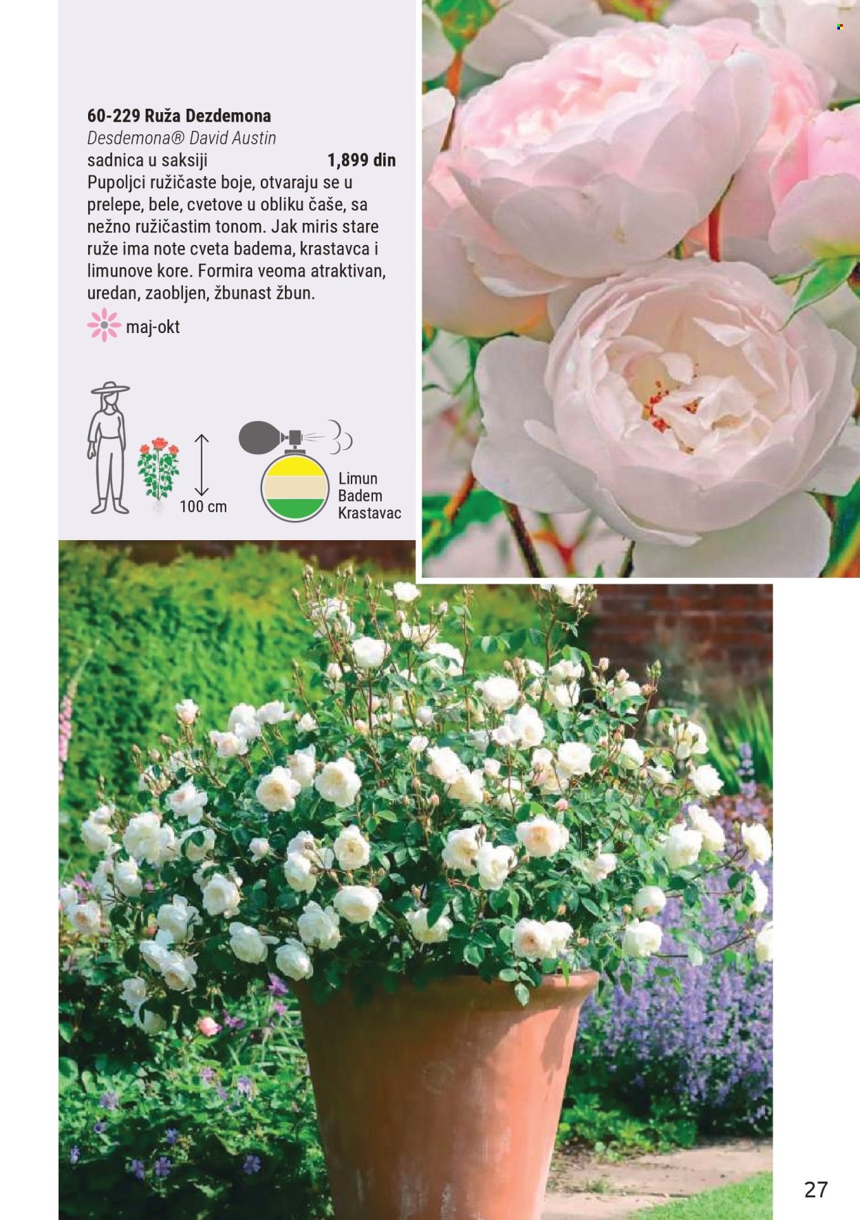 Flora Ekspres katalog . Stranica 27