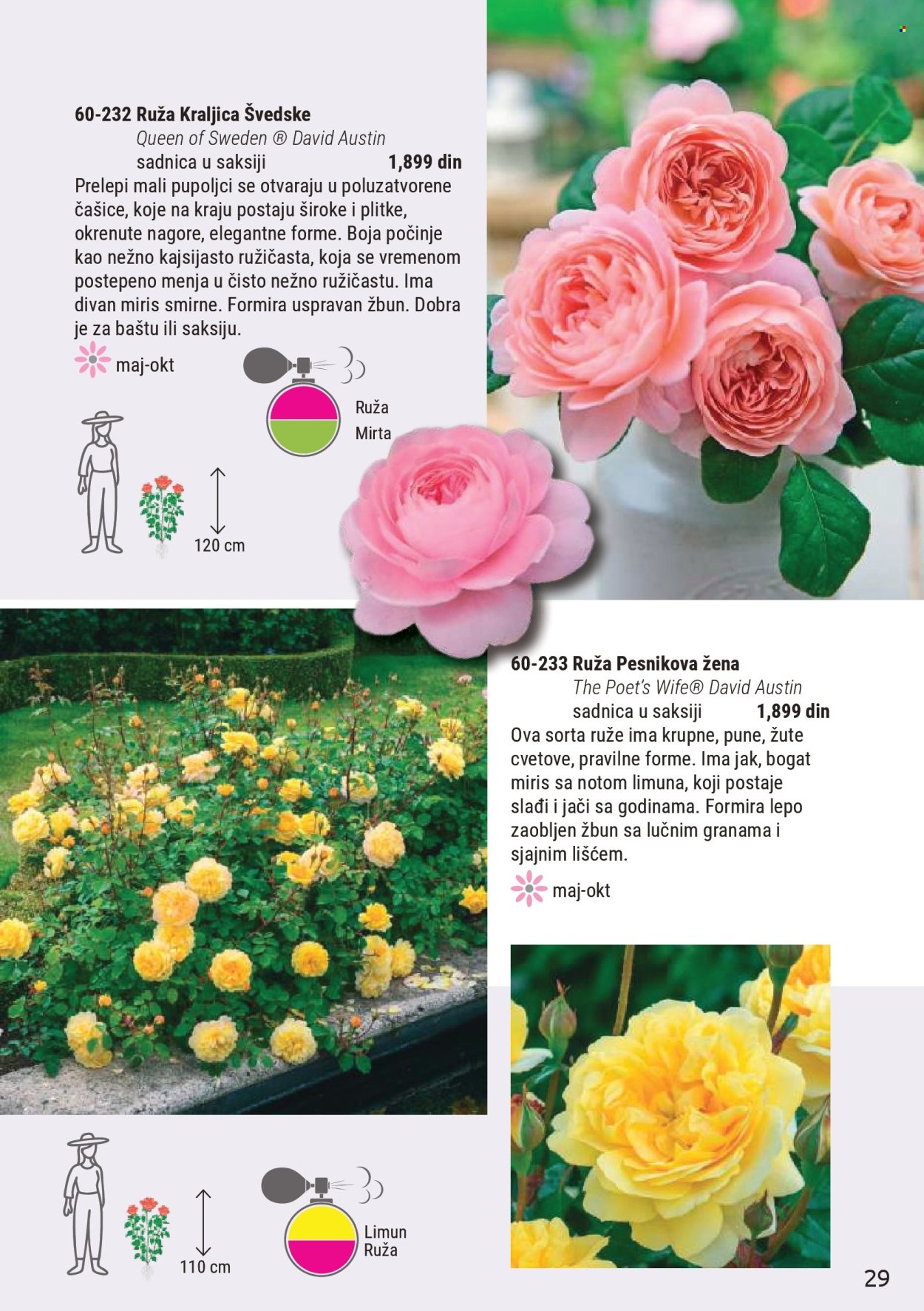 Flora Ekspres katalog . Stranica 29