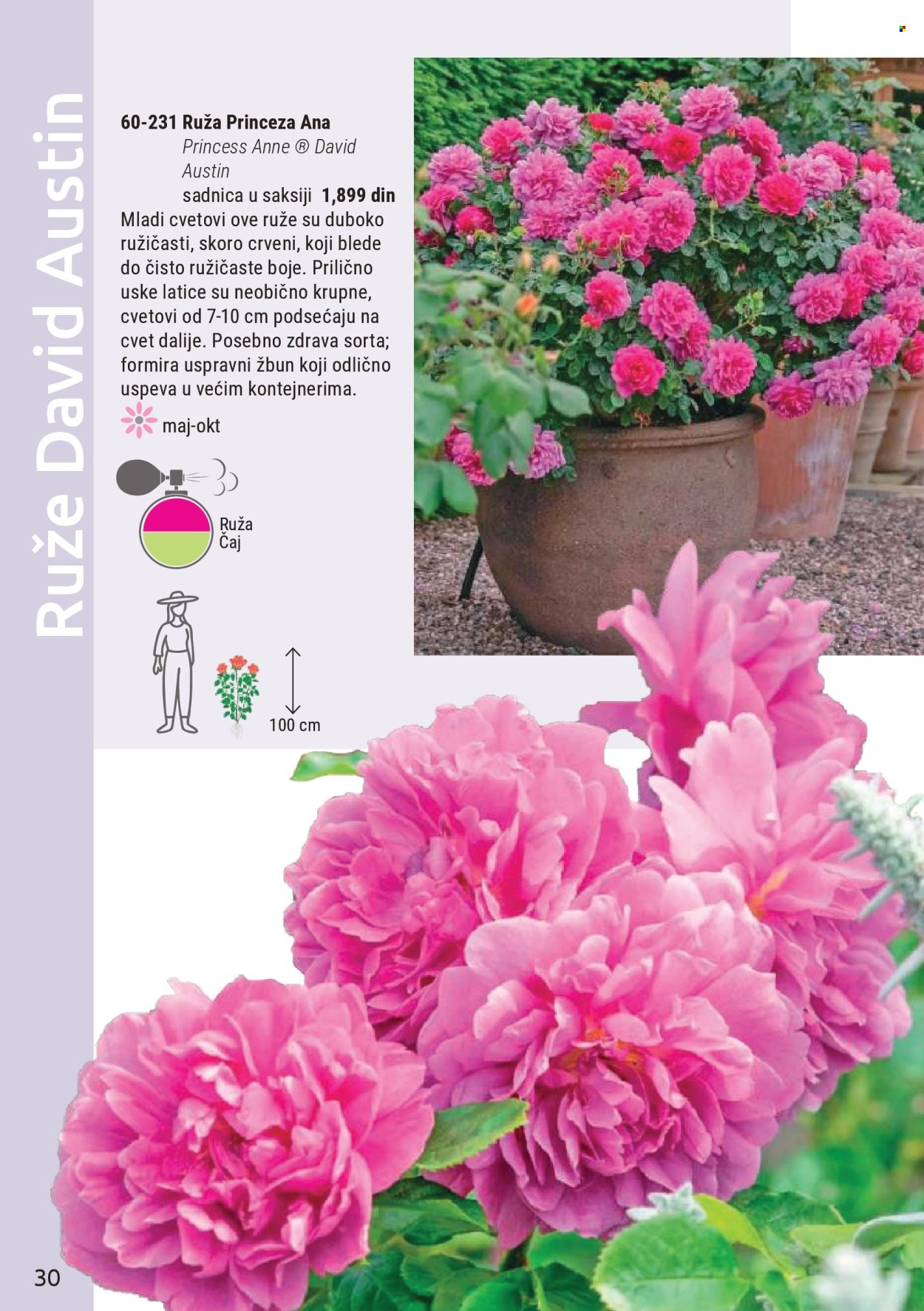 Flora Ekspres katalog . Stranica 30