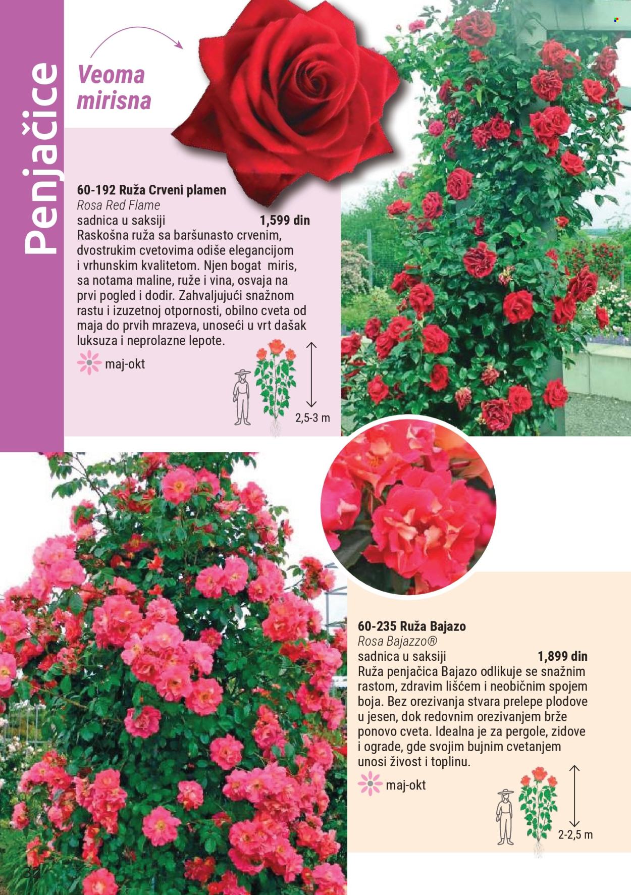 Flora Ekspres katalog . Stranica 32