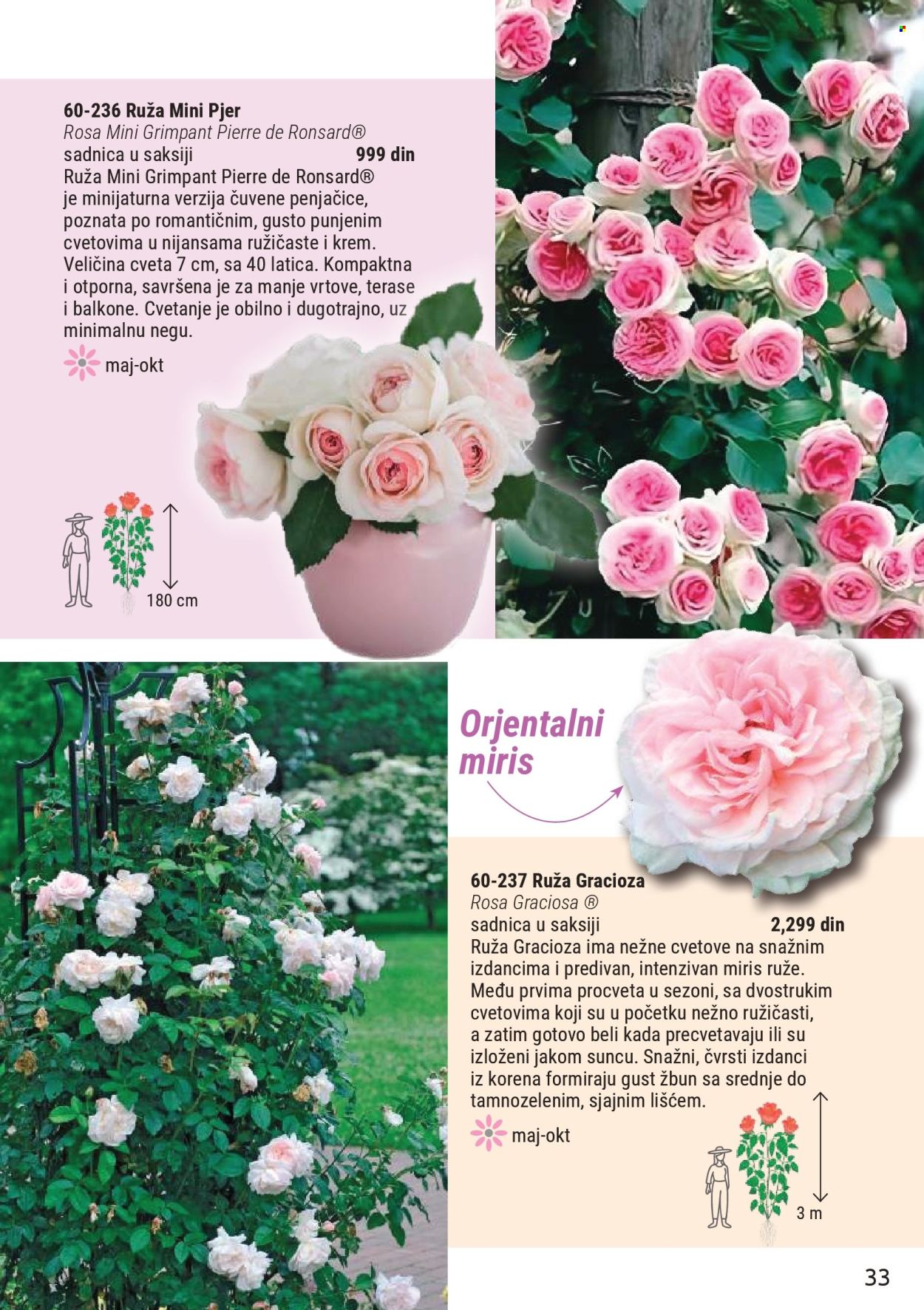 Flora Ekspres katalog . Stranica 33
