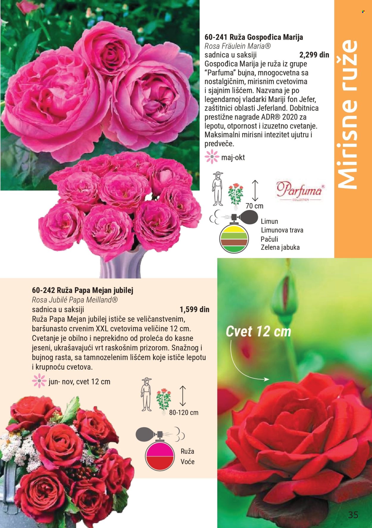 Flora Ekspres katalog . Stranica 35