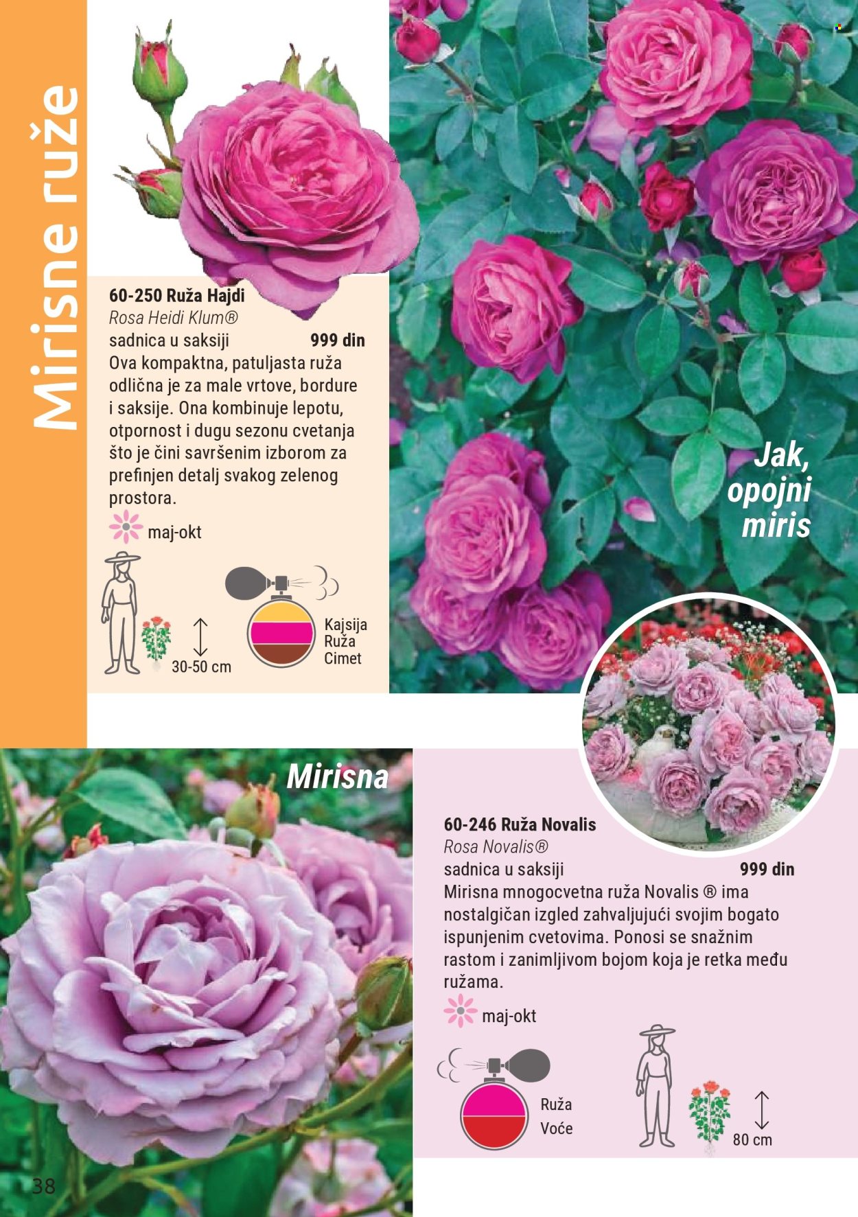 Flora Ekspres katalog . Stranica 38
