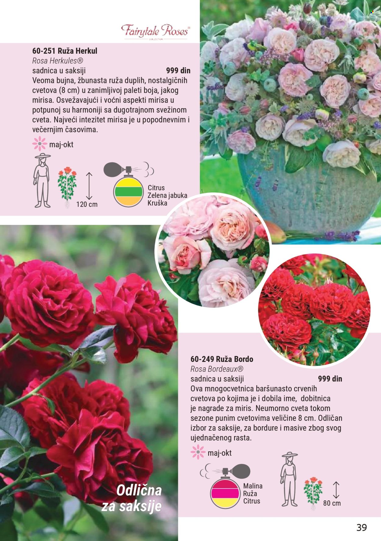 Flora Ekspres katalog . Stranica 39