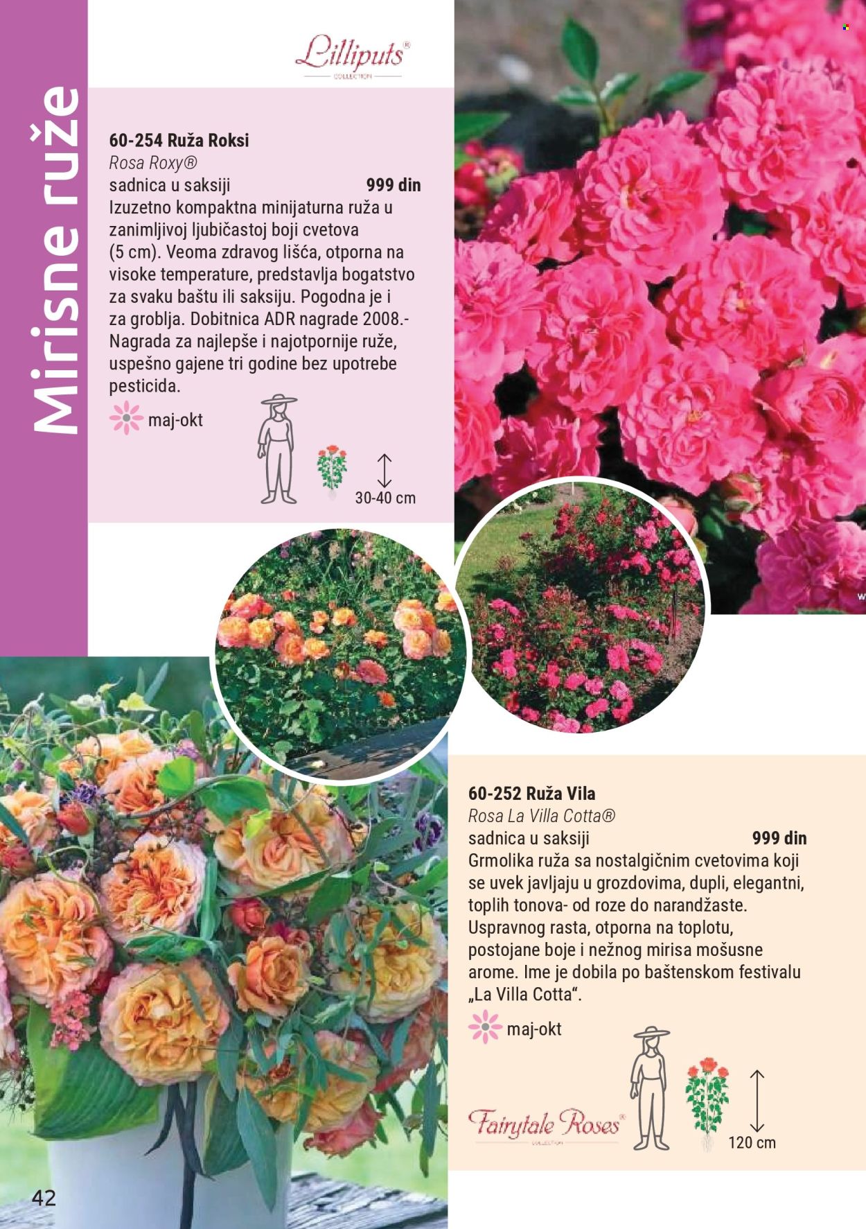 Flora Ekspres katalog . Stranica 42
