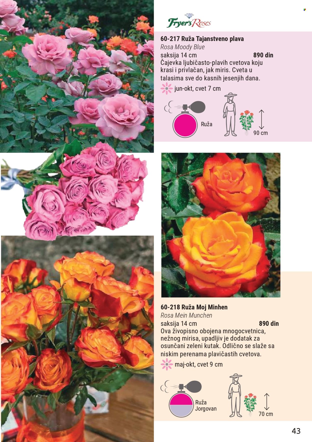 Flora Ekspres katalog . Stranica 43