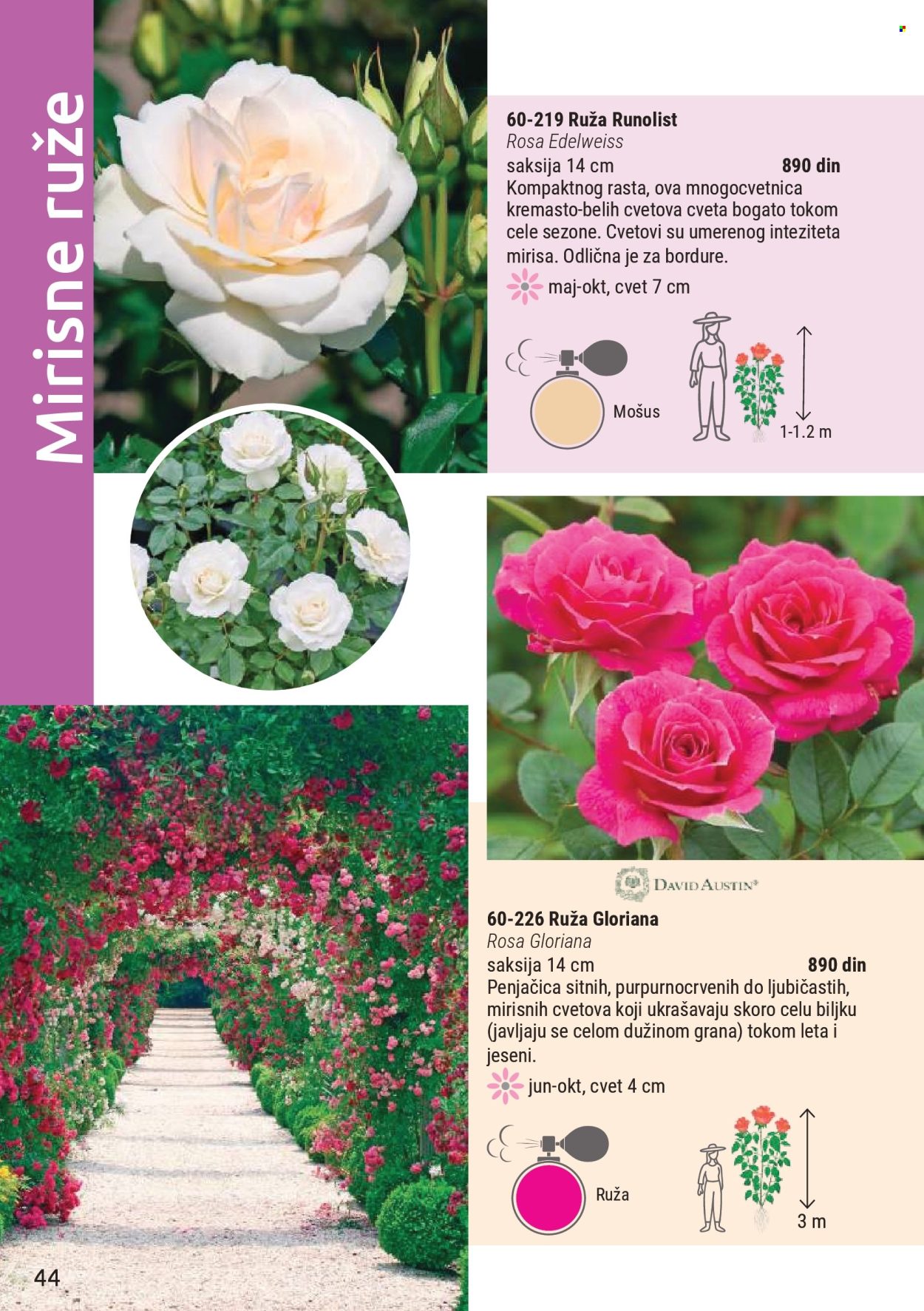 Flora Ekspres katalog . Stranica 44