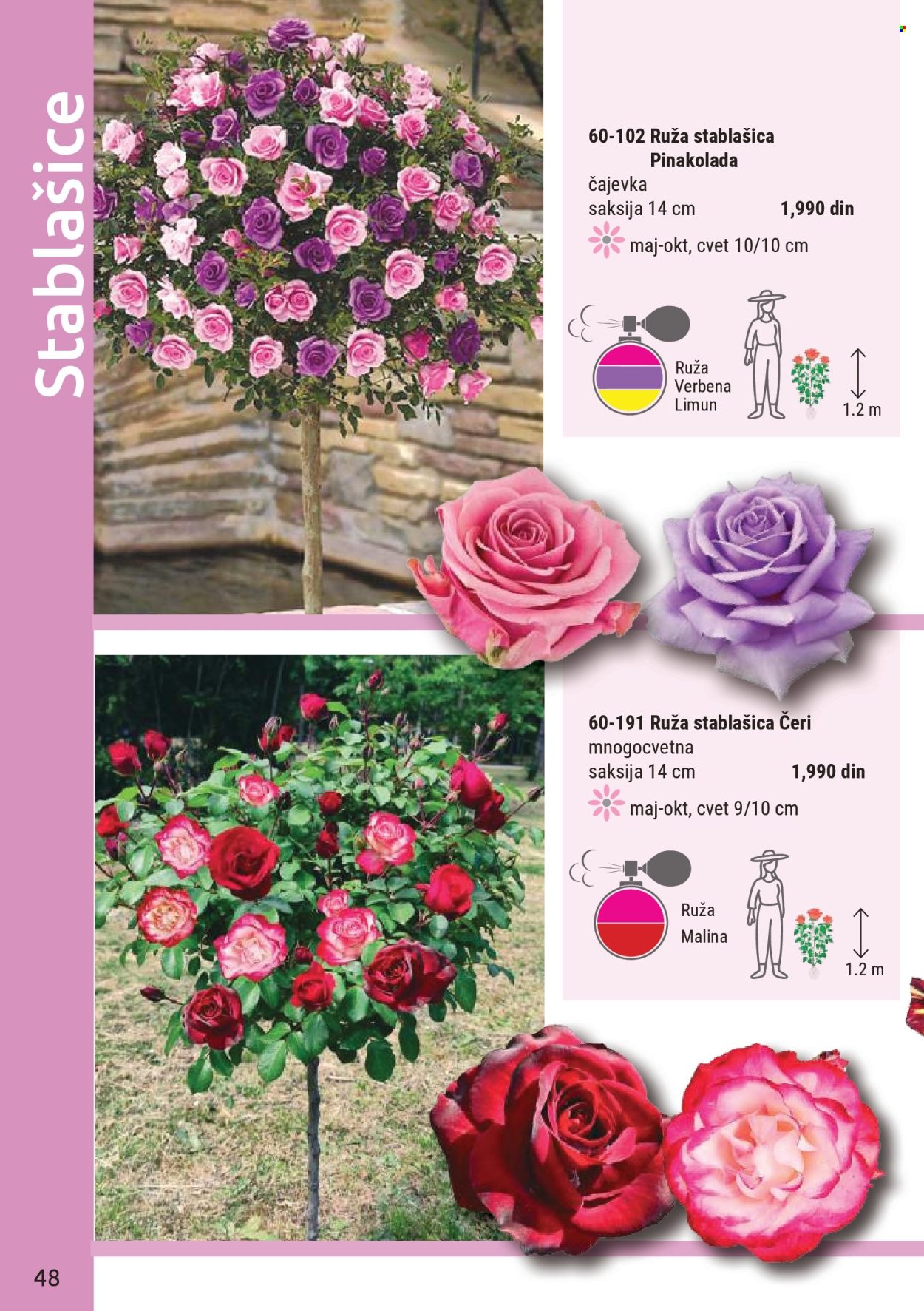 Flora Ekspres katalog . Stranica 48