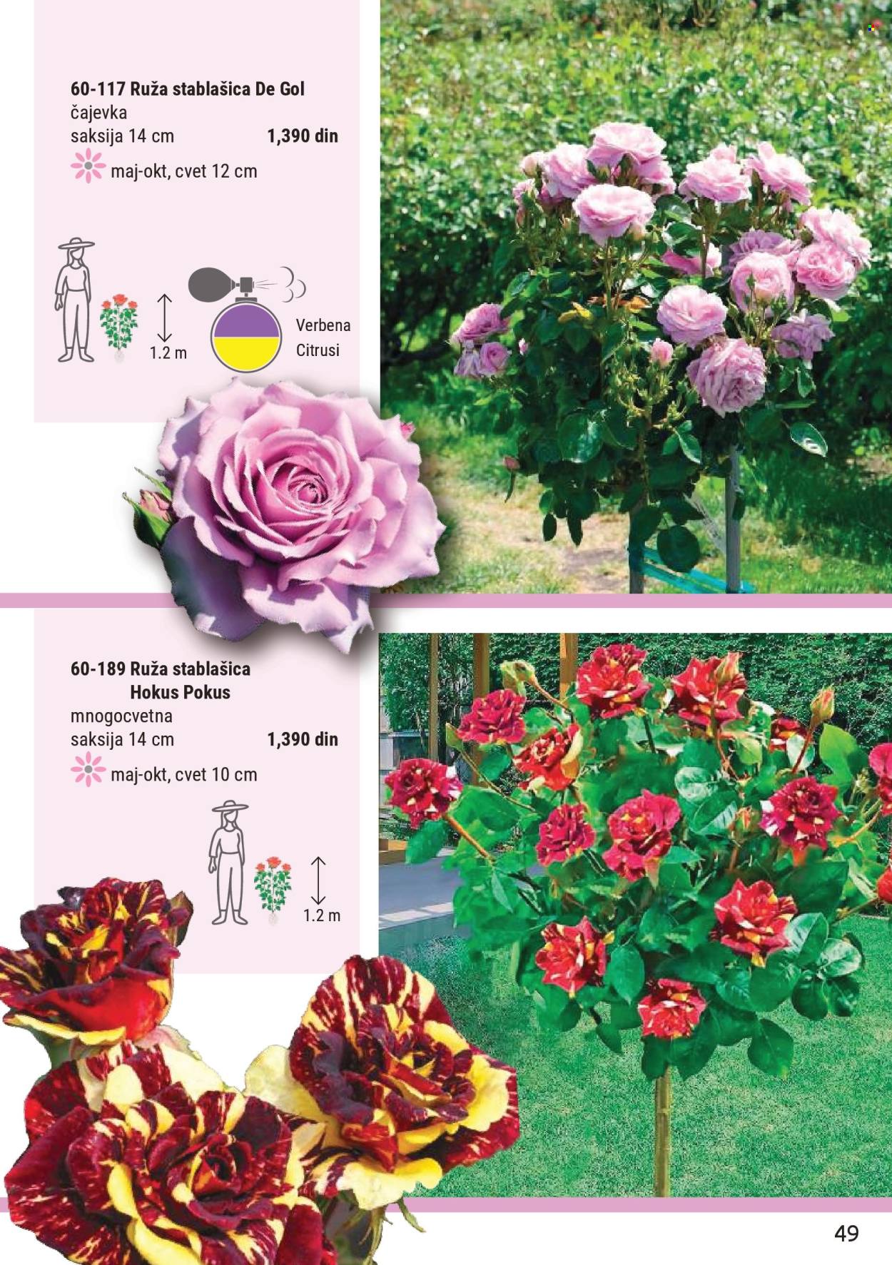 Flora Ekspres katalog . Stranica 49
