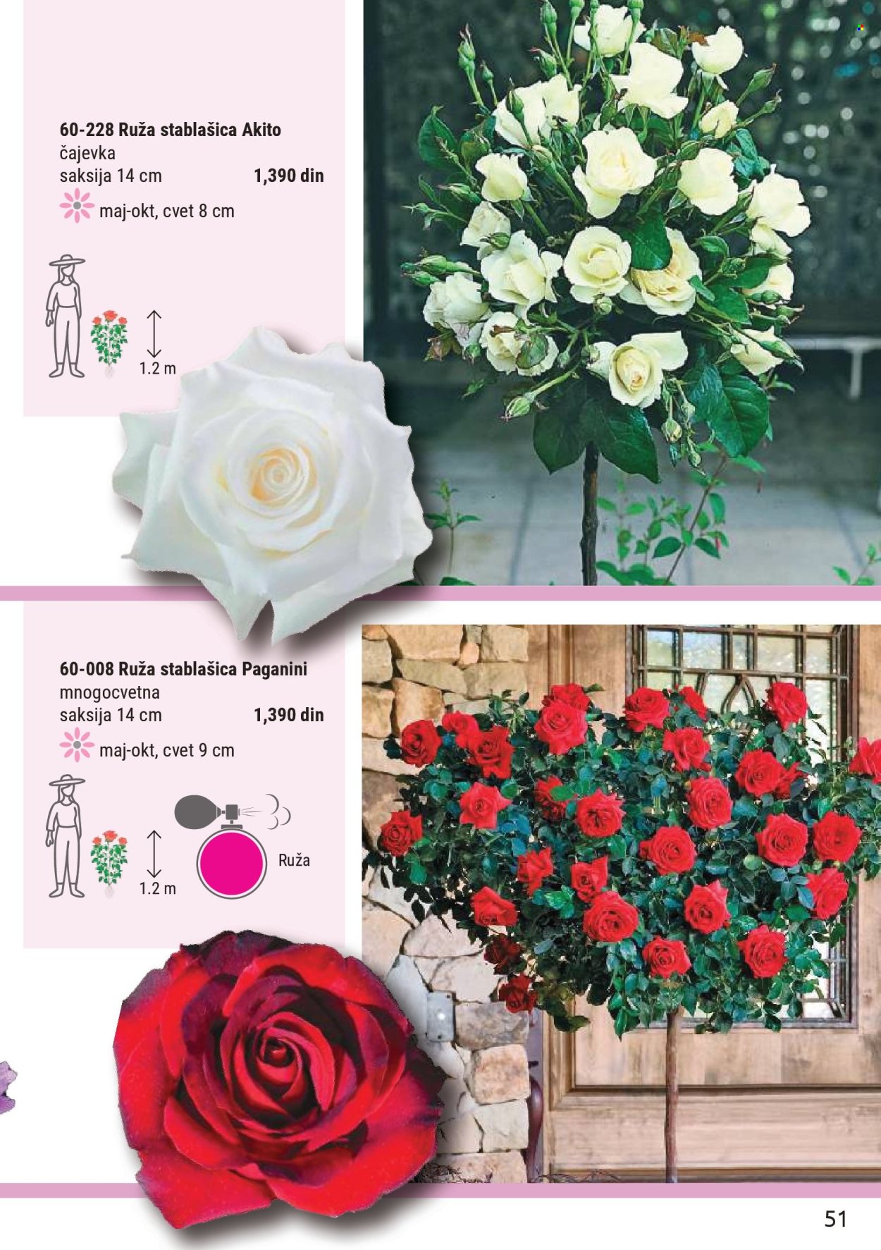 Flora Ekspres katalog . Stranica 51
