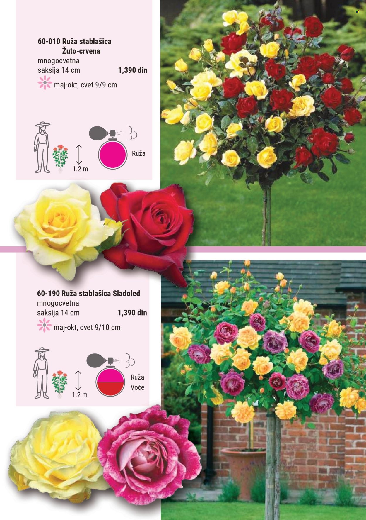 Flora Ekspres katalog . Stranica 52