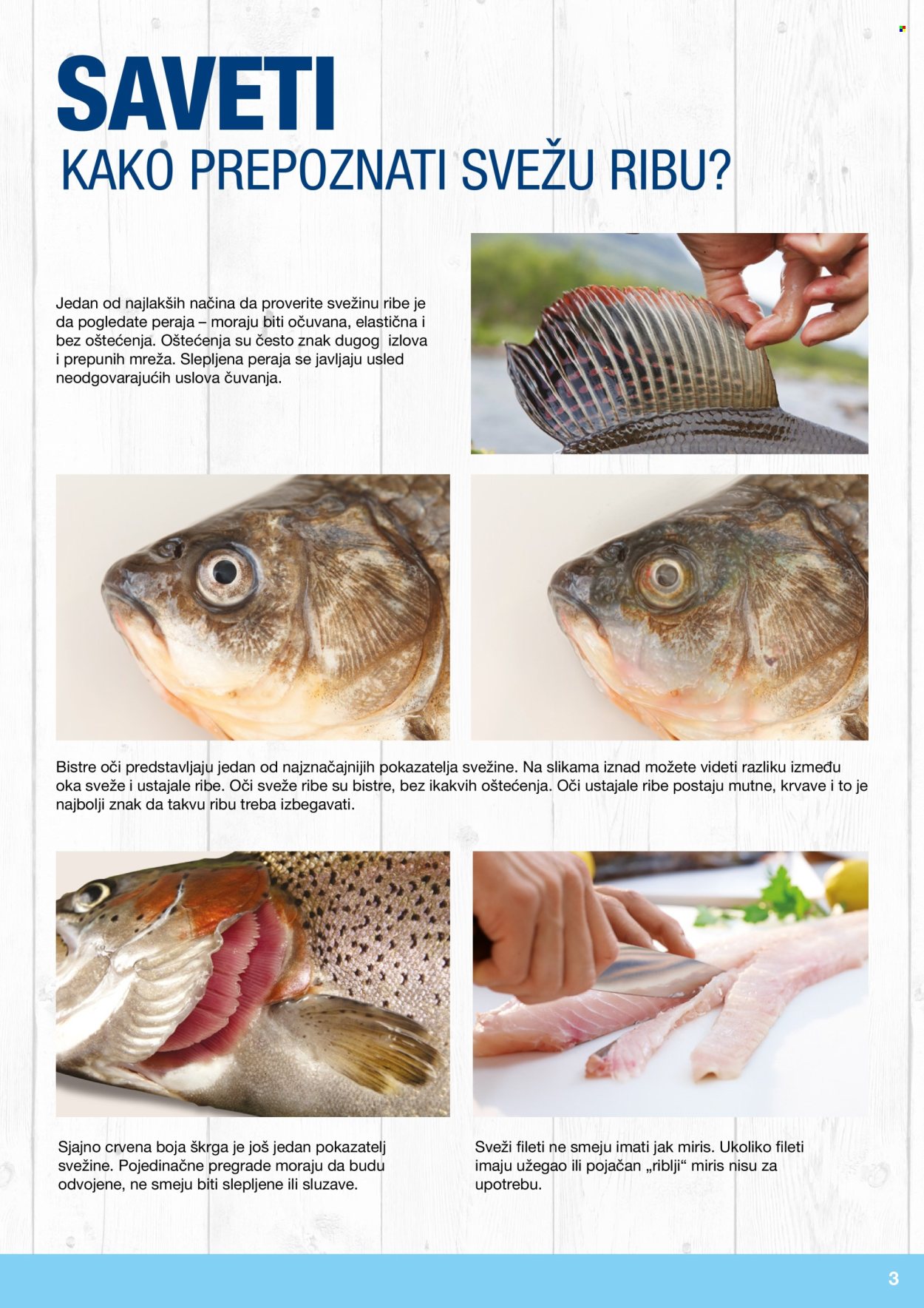 Metro katalog . Stranica 3