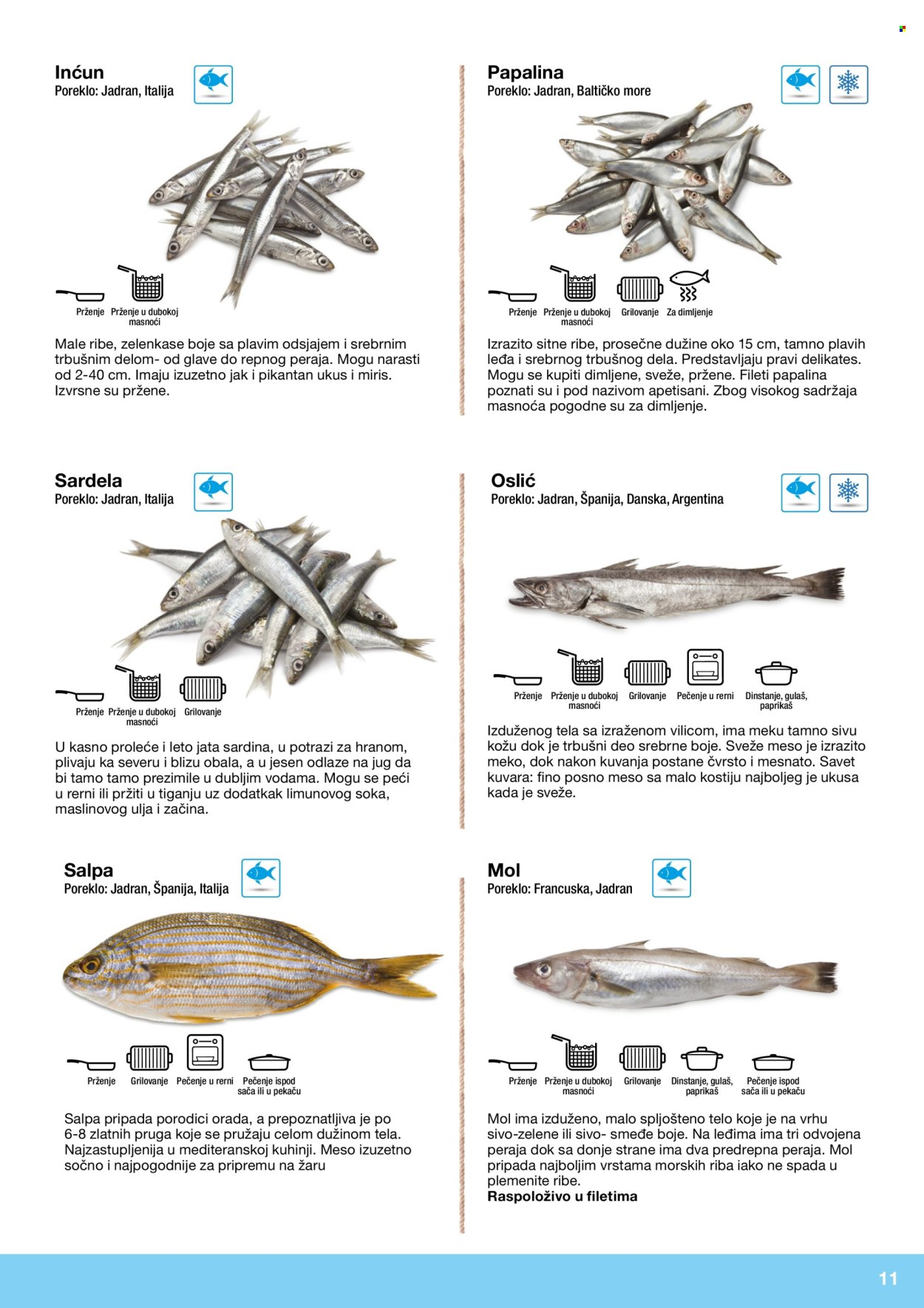 Metro katalog . Stranica 11