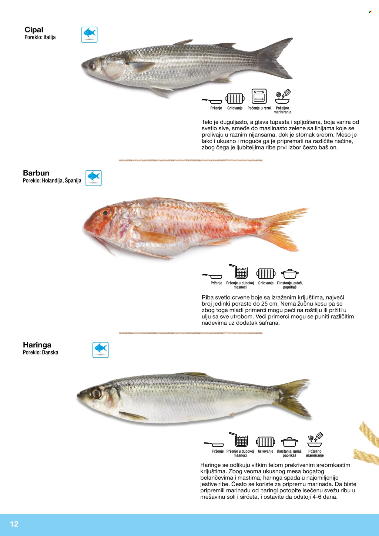 Metro katalog . Stranica 12