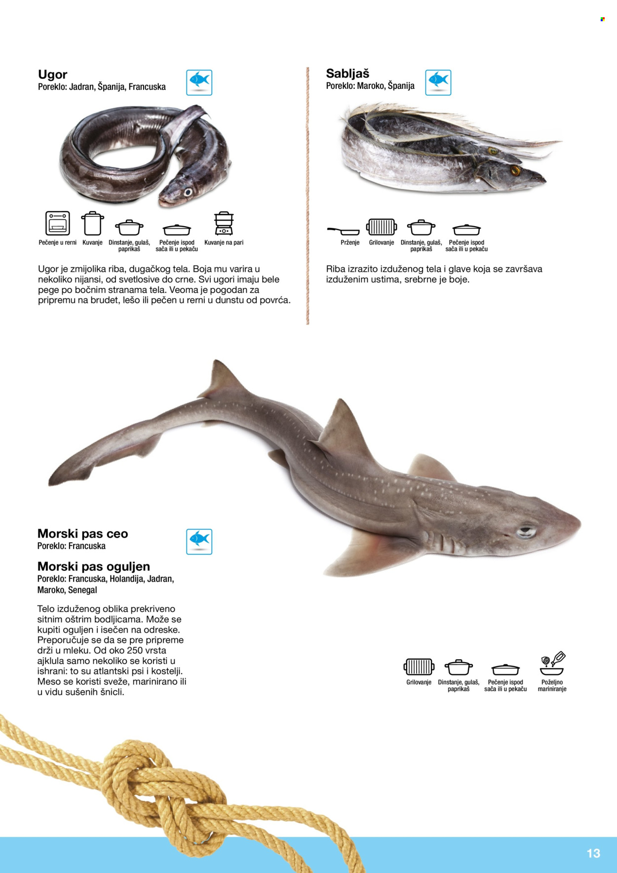 Metro katalog . Stranica 13