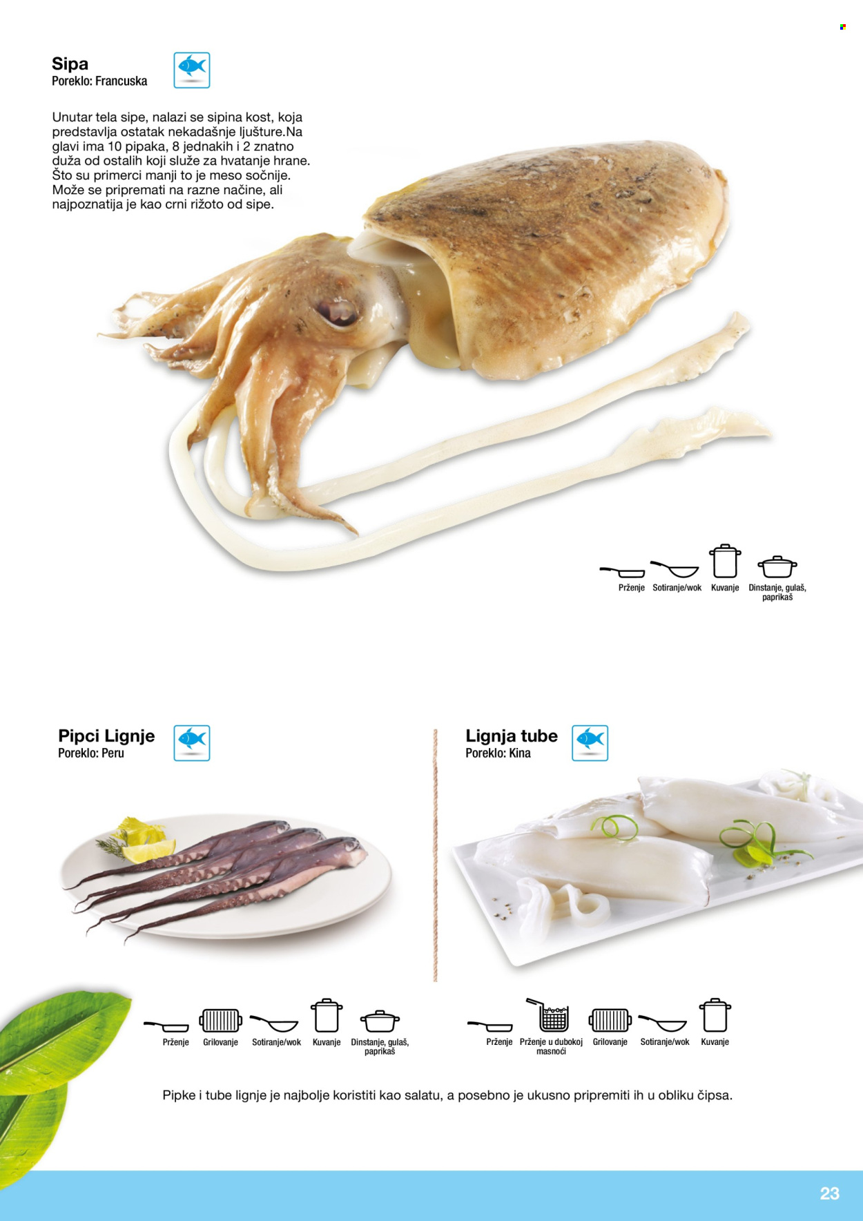 Metro katalog . Stranica 23