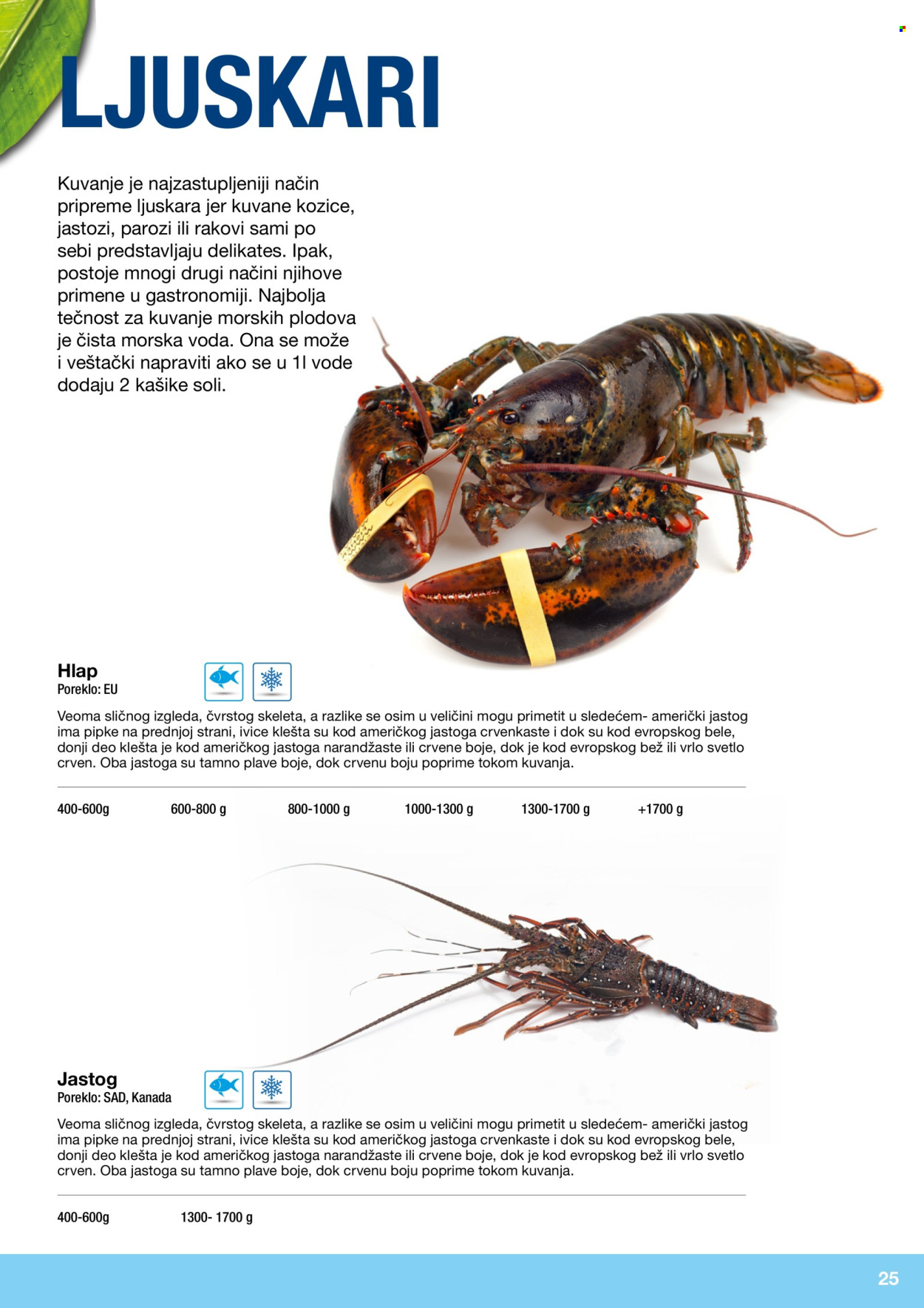 Metro katalog . Stranica 25