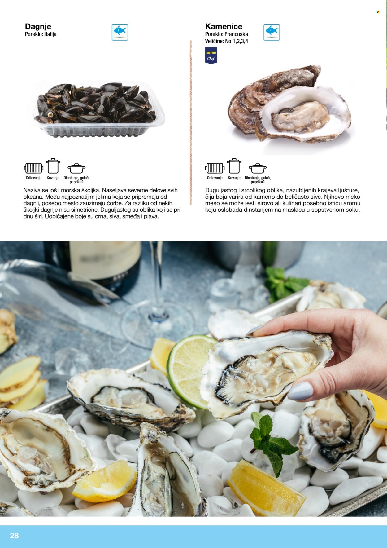 Metro katalog . Stranica 28