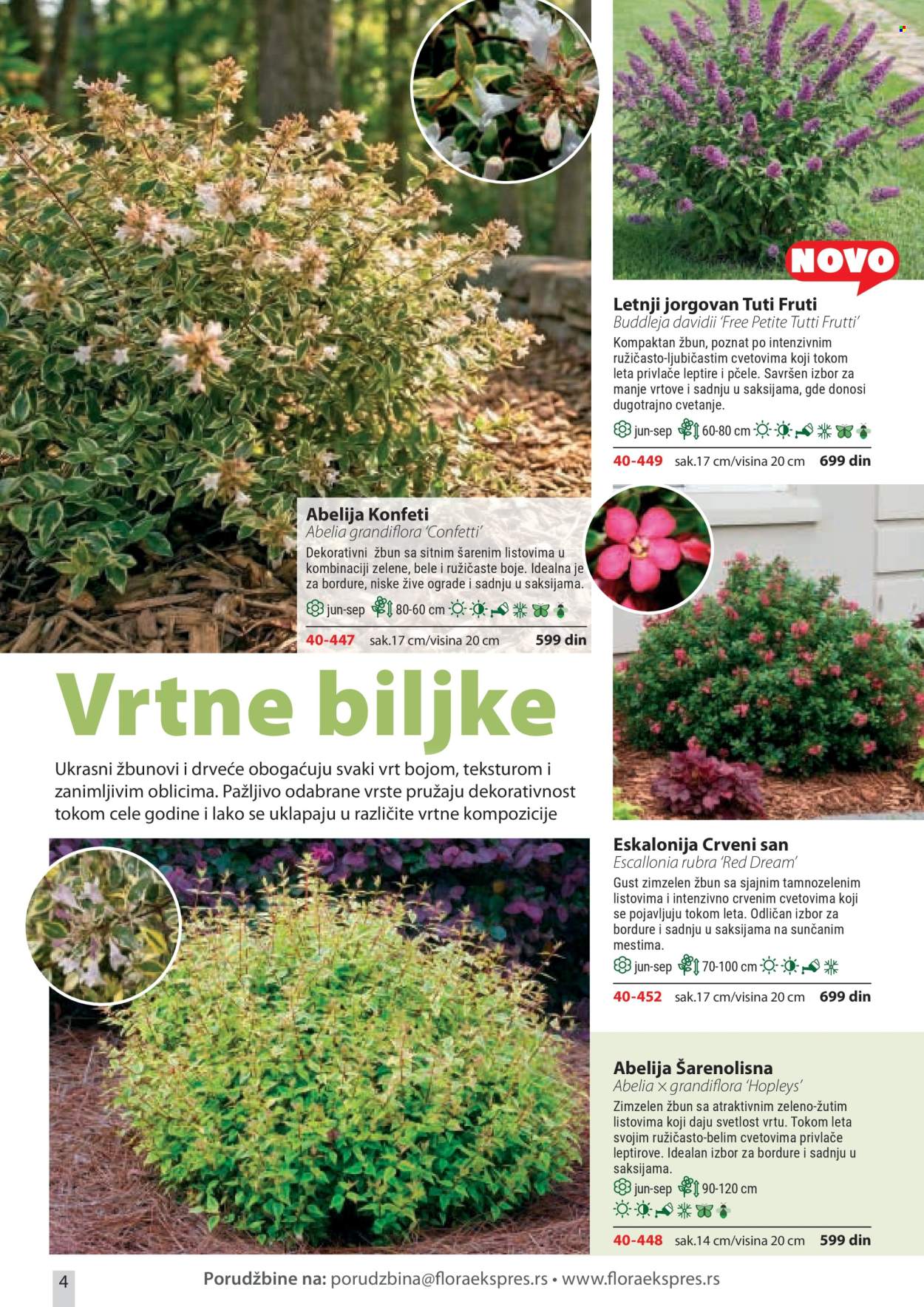 Flora Ekspres katalog . Stranica 4