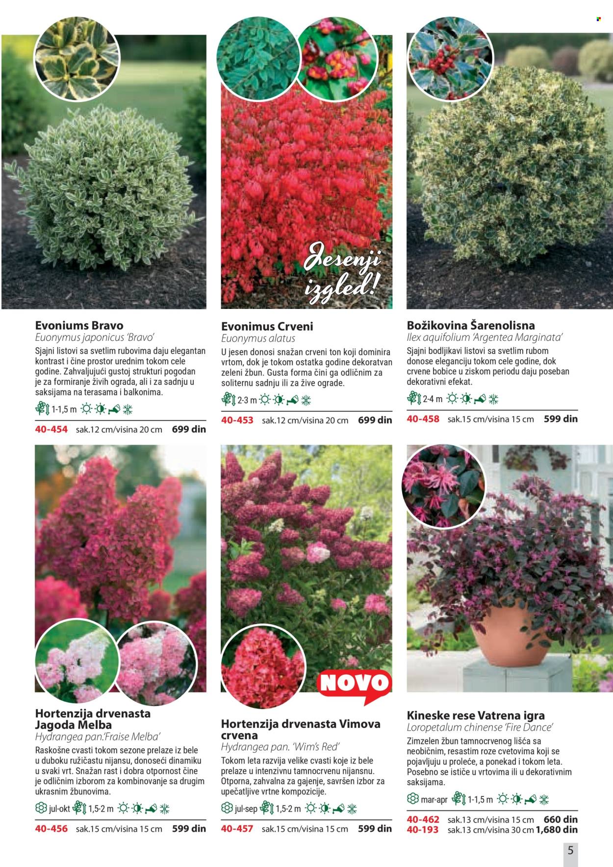 Flora Ekspres katalog . Stranica 5