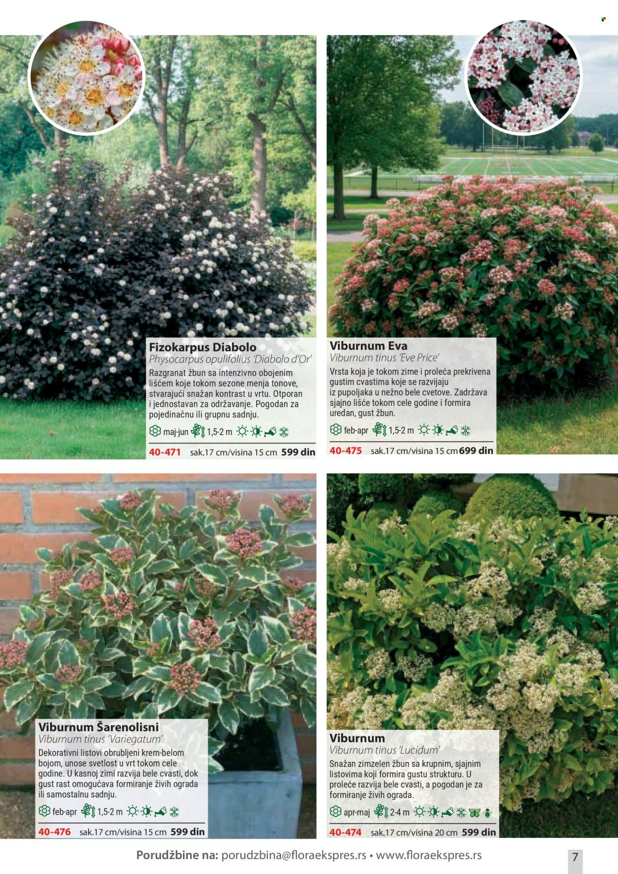 Flora Ekspres katalog . Stranica 7