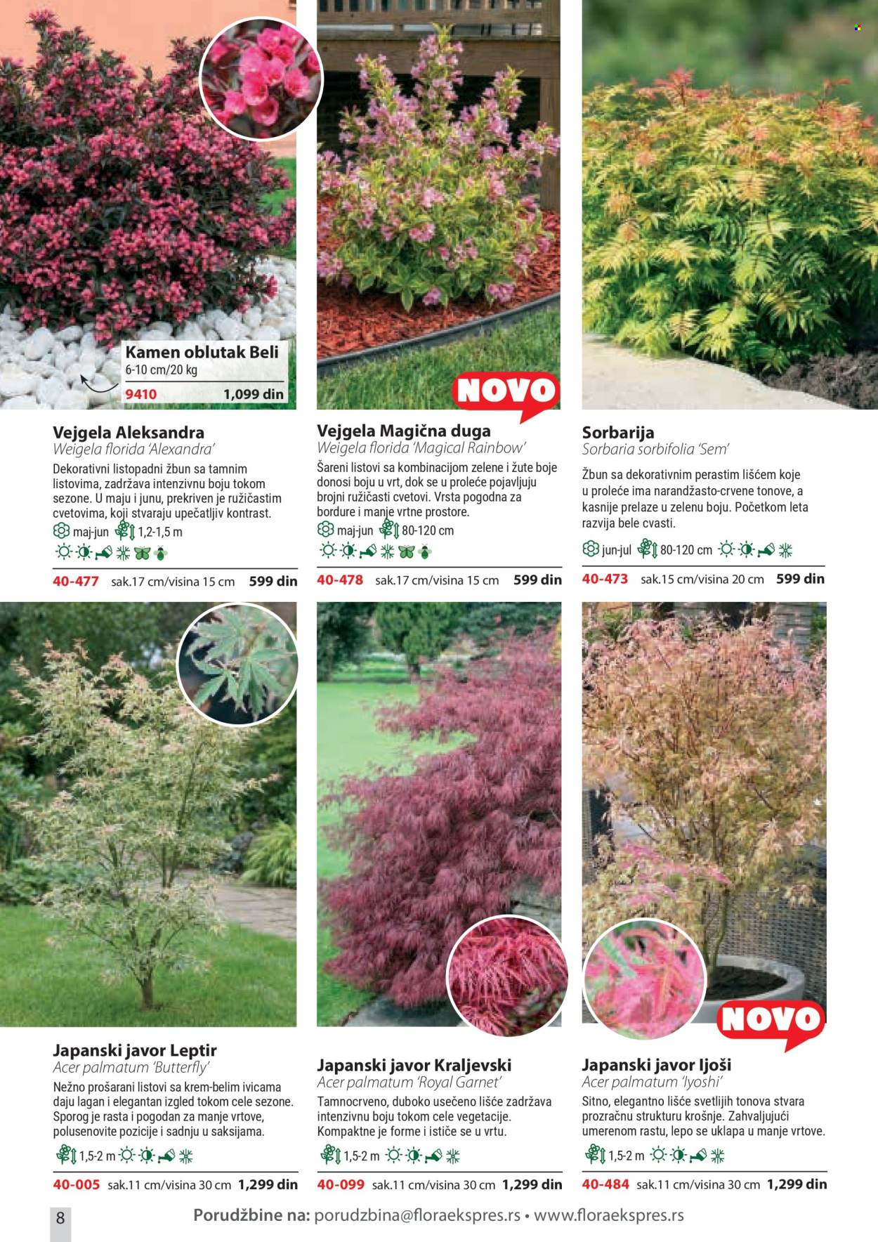 Flora Ekspres katalog . Stranica 8