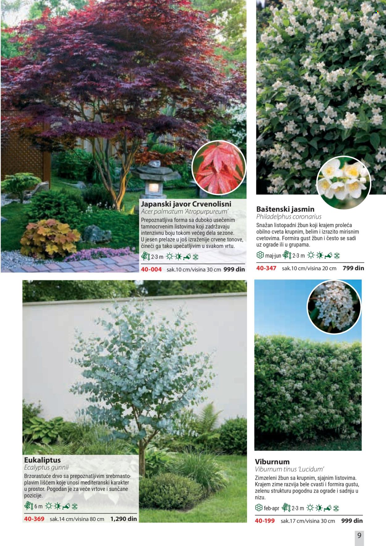 Flora Ekspres katalog . Stranica 9