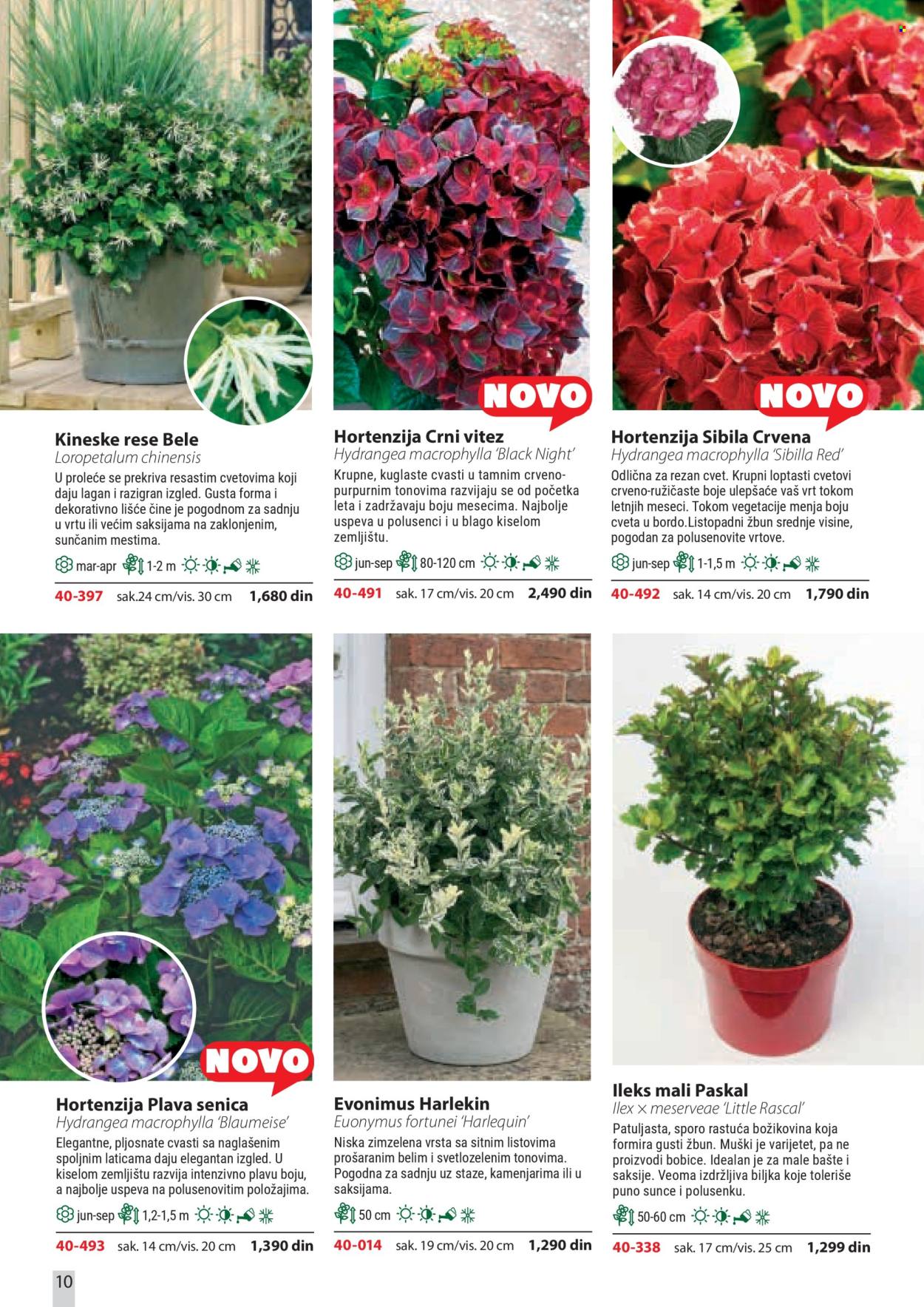 Flora Ekspres katalog . Stranica 10